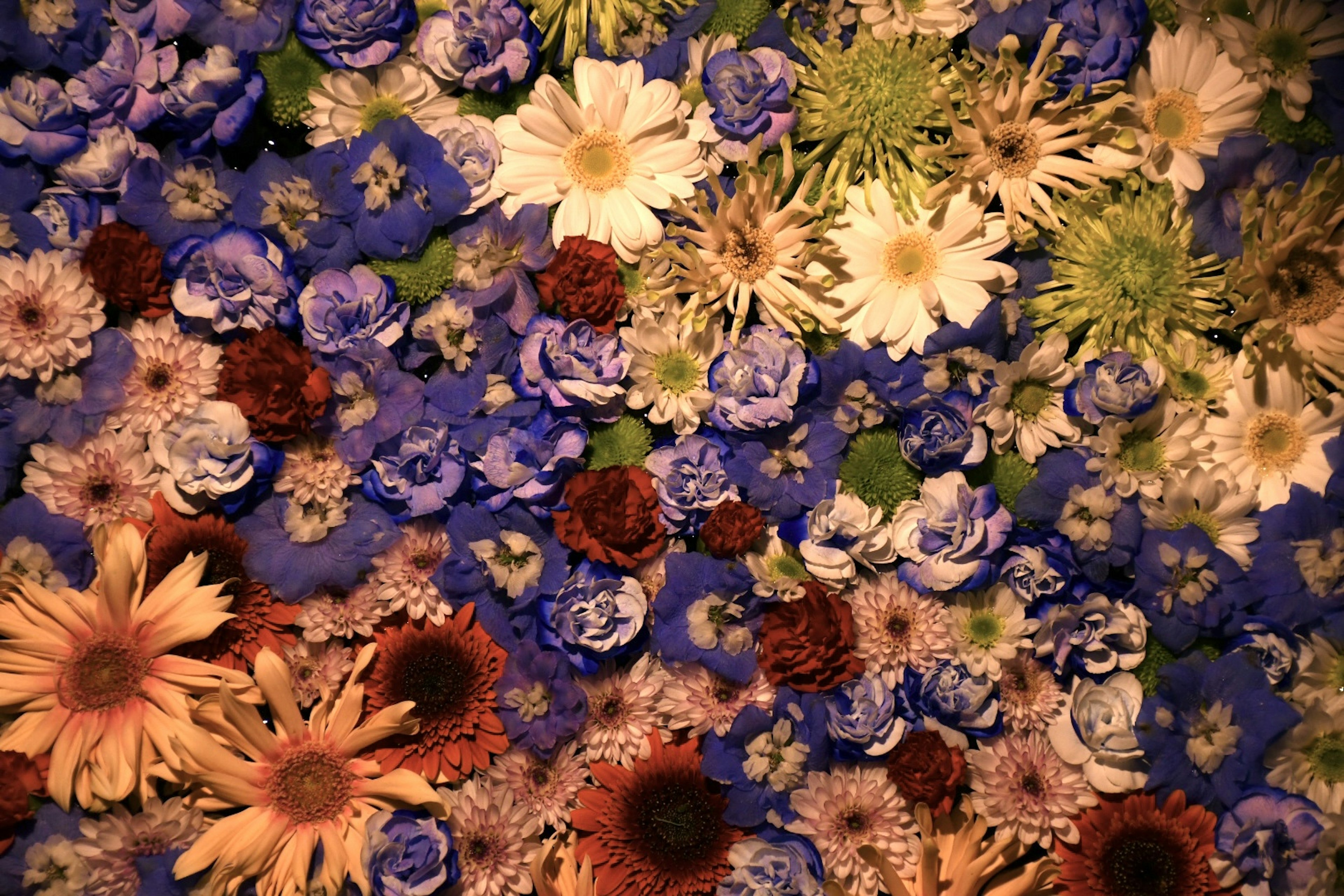 A beautiful arrangement of colorful flowers in various shades