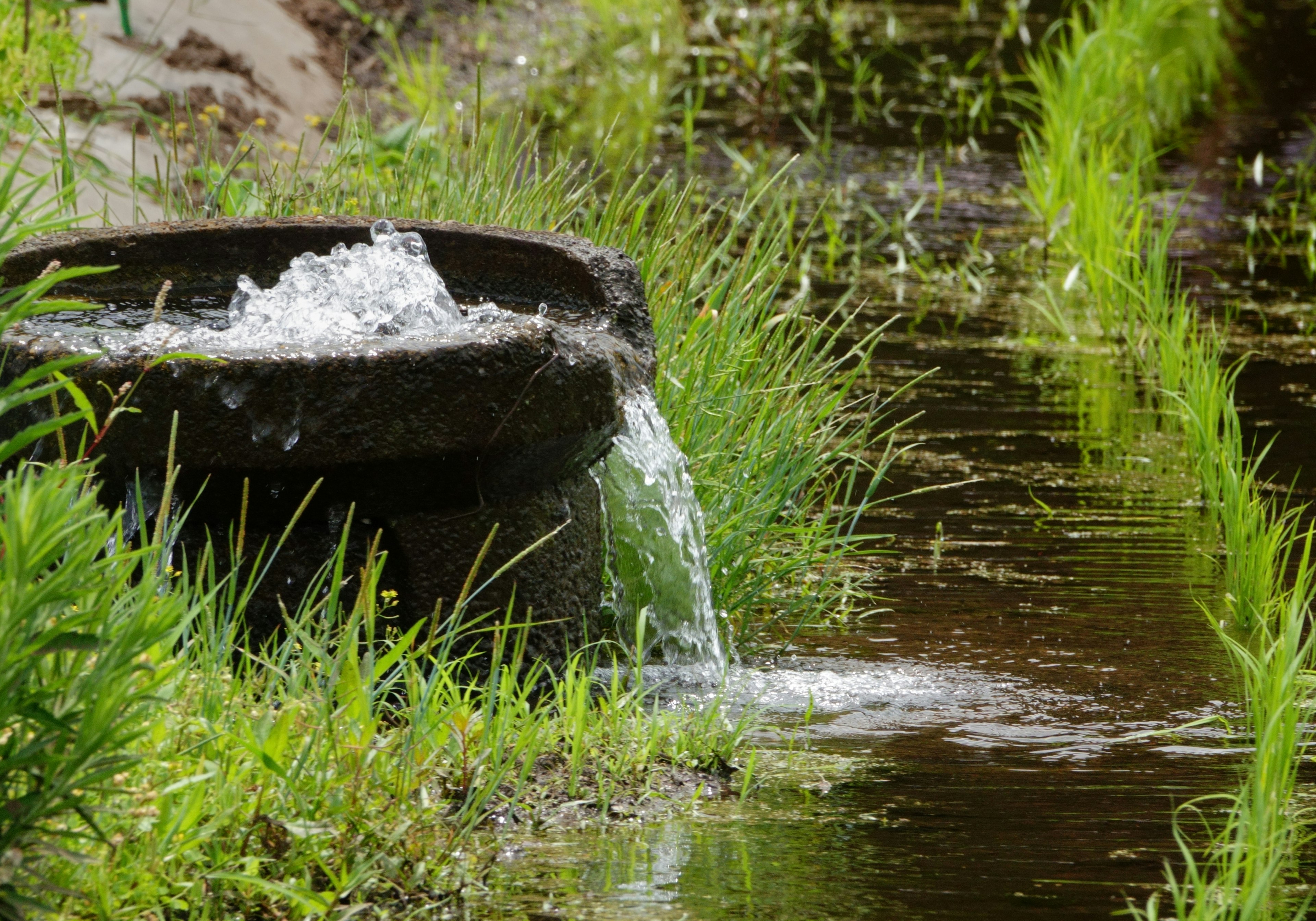 Steinwasserbecken mit fließendem Wasser umgeben von grünem Gras