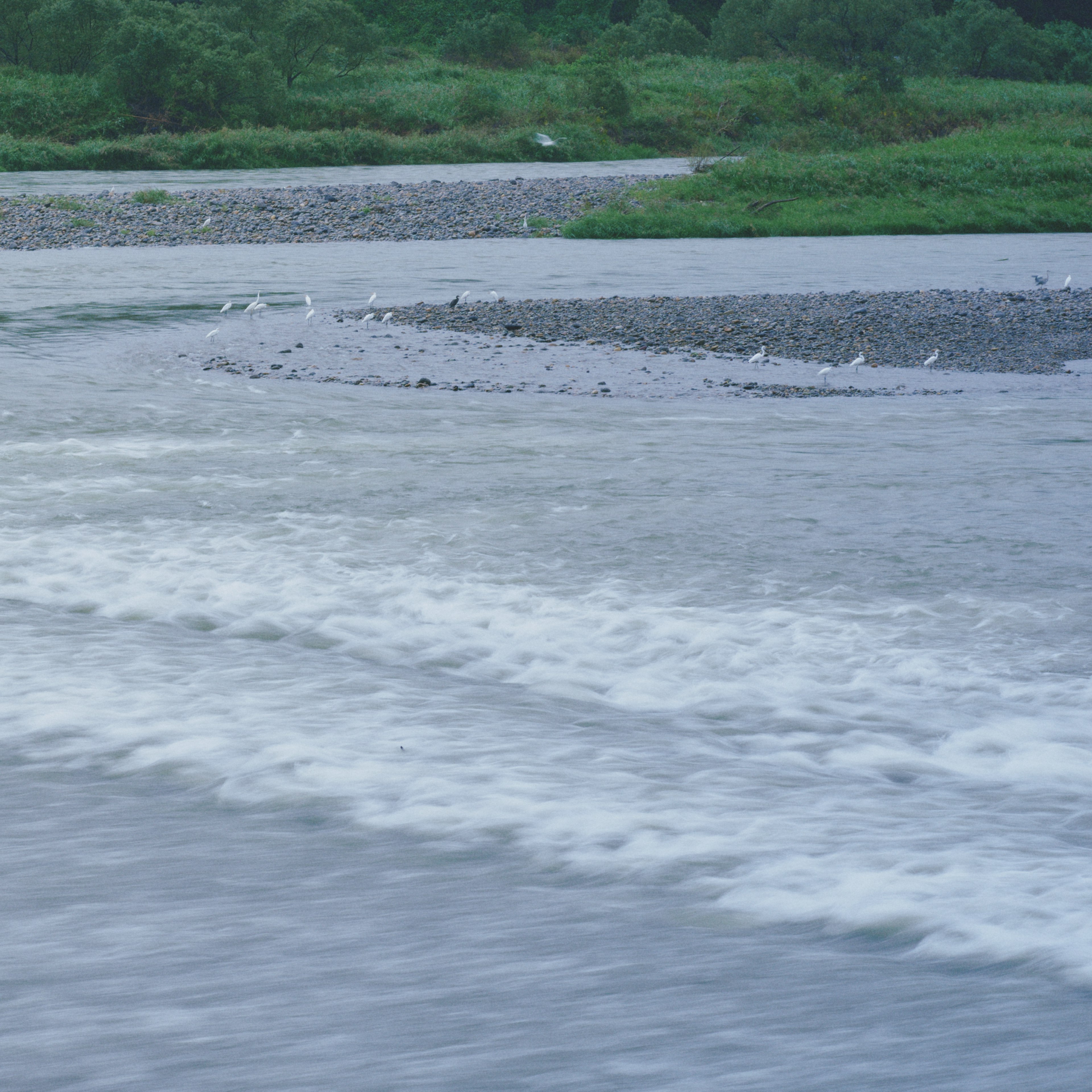 静かな川の流れと緑の草地