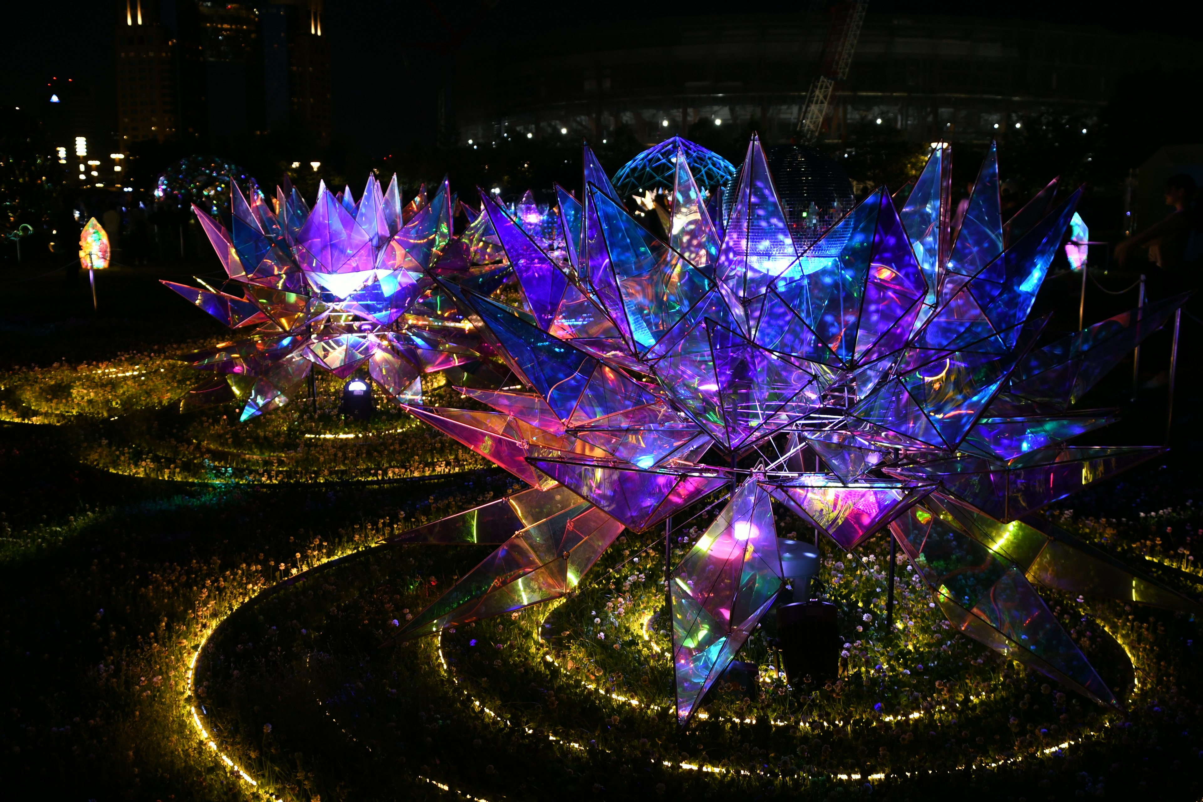 Flores de cristal coloridas iluminadas por la noche