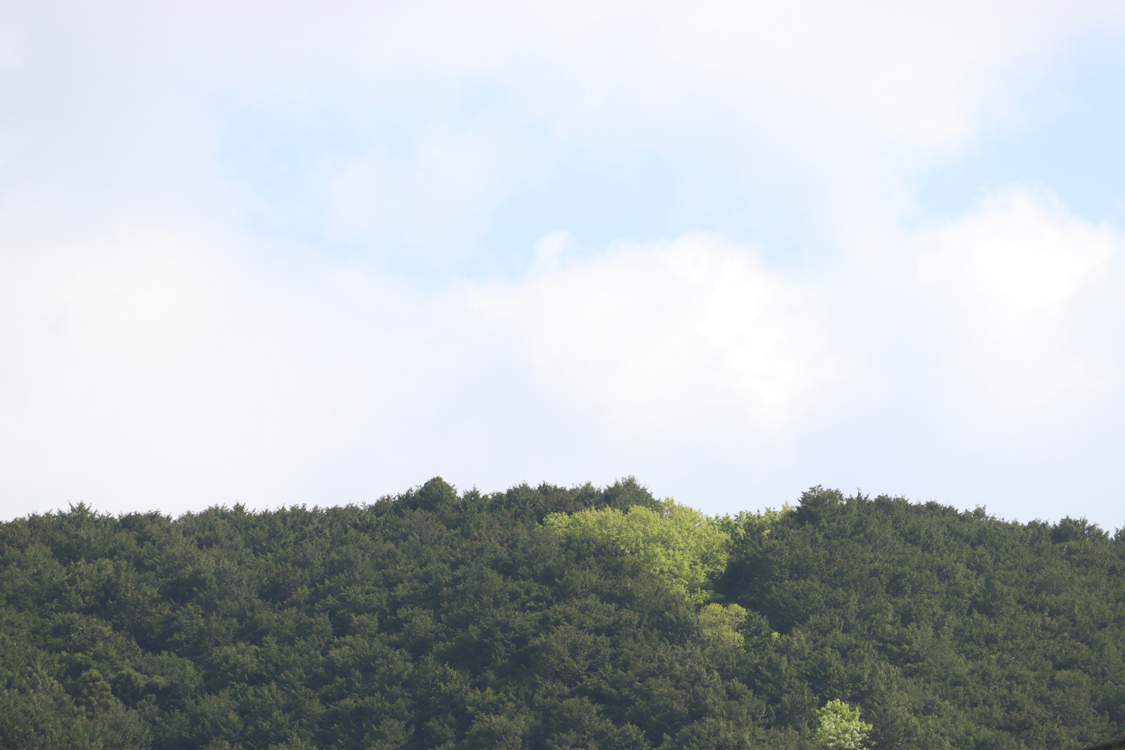 Paisaje con una colina verde y nubes ligeras arriba