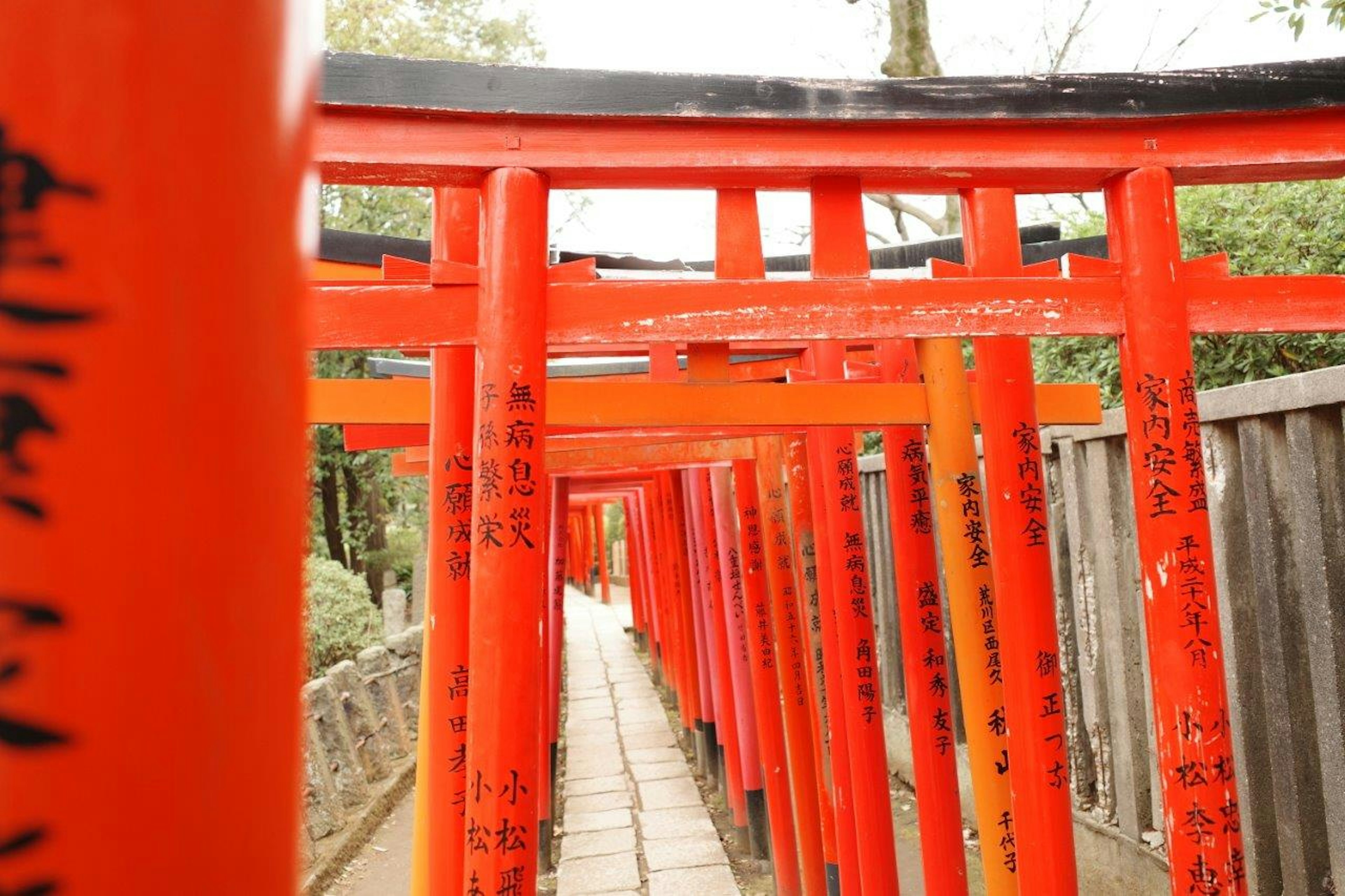 鳥居が並ぶ美しい風景の道