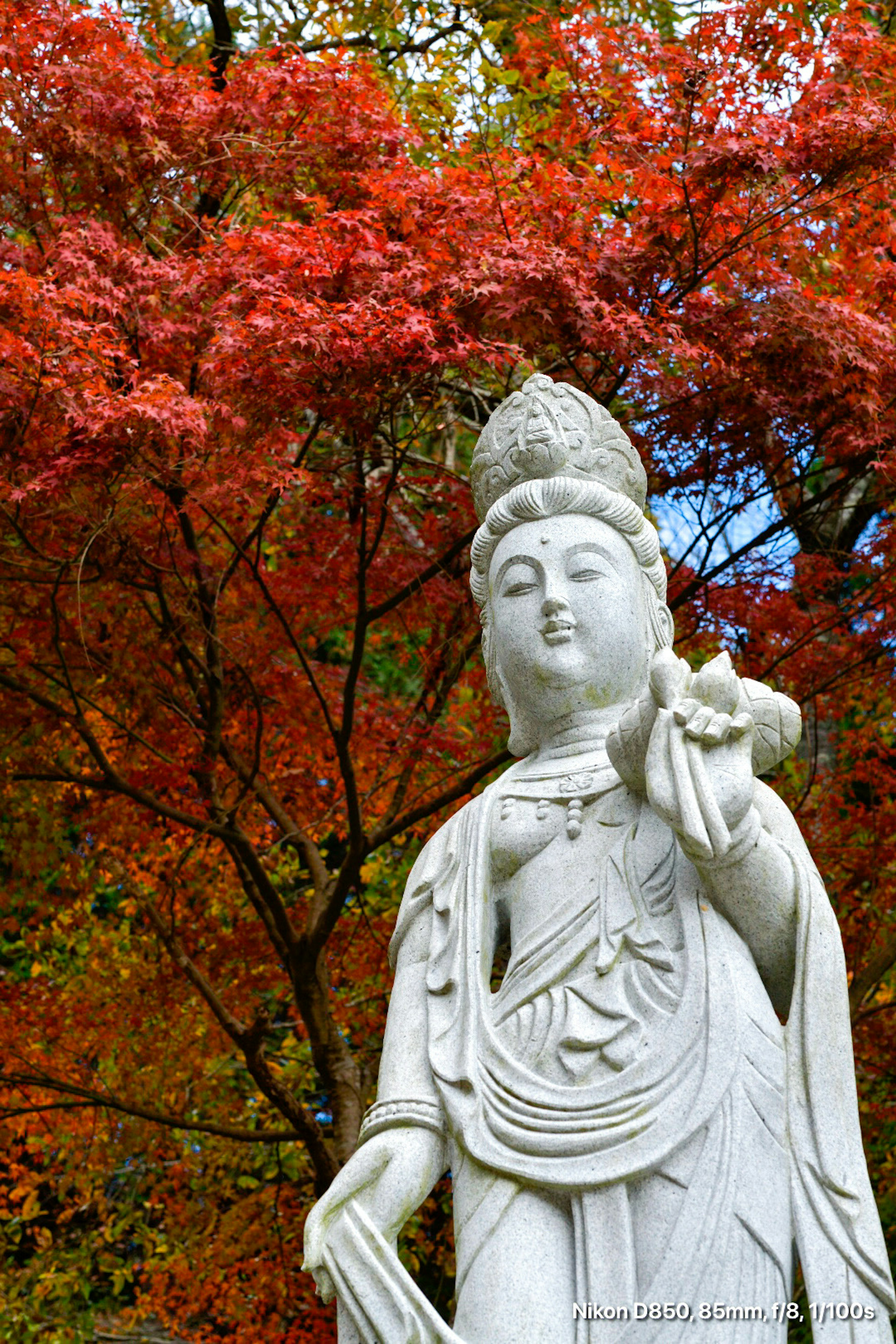 Estatua blanca de Kannon de pie contra un fondo de hojas de otoño vibrantes