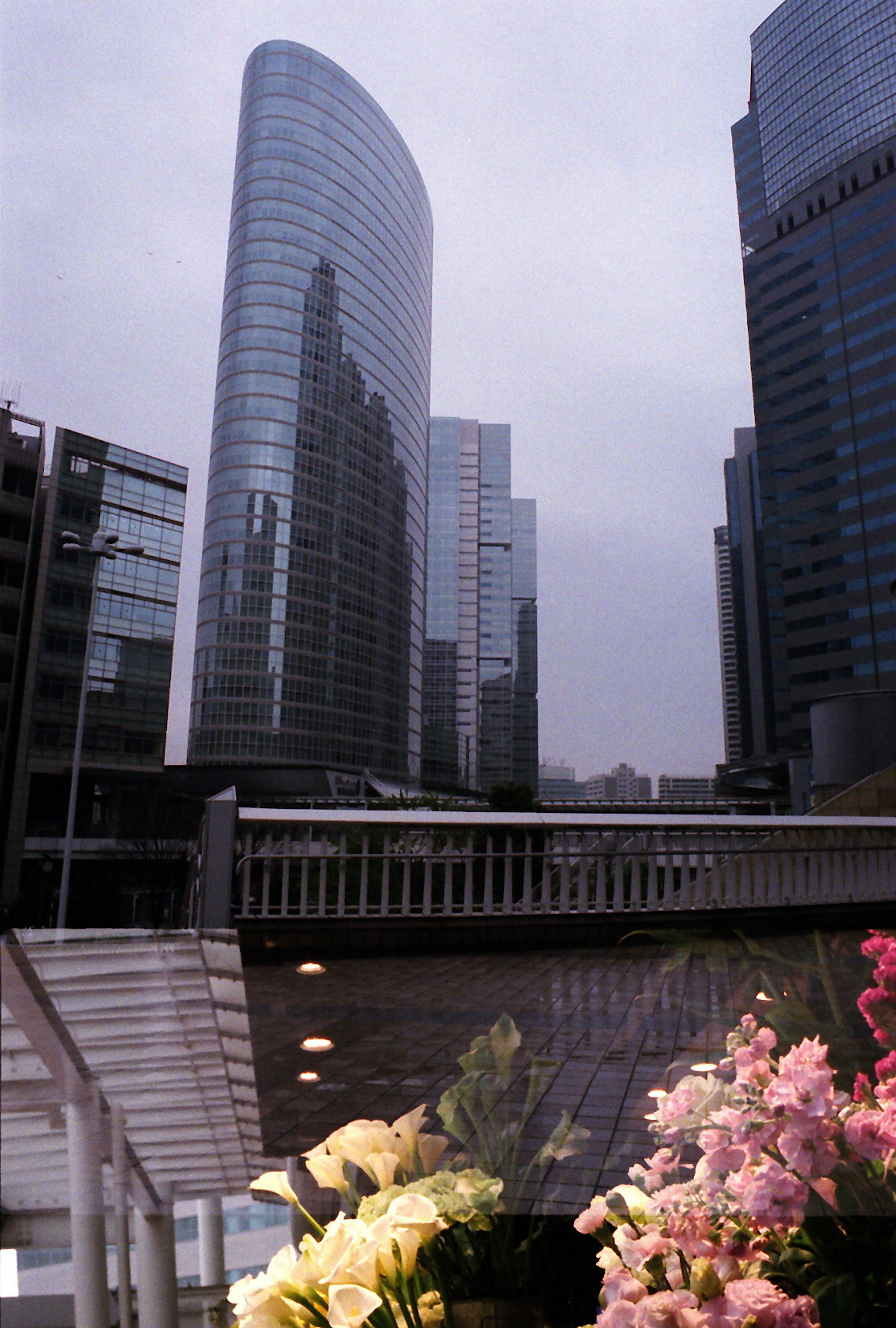 Städtische Skyline mit hohen Gebäuden und Blumen im Vordergrund