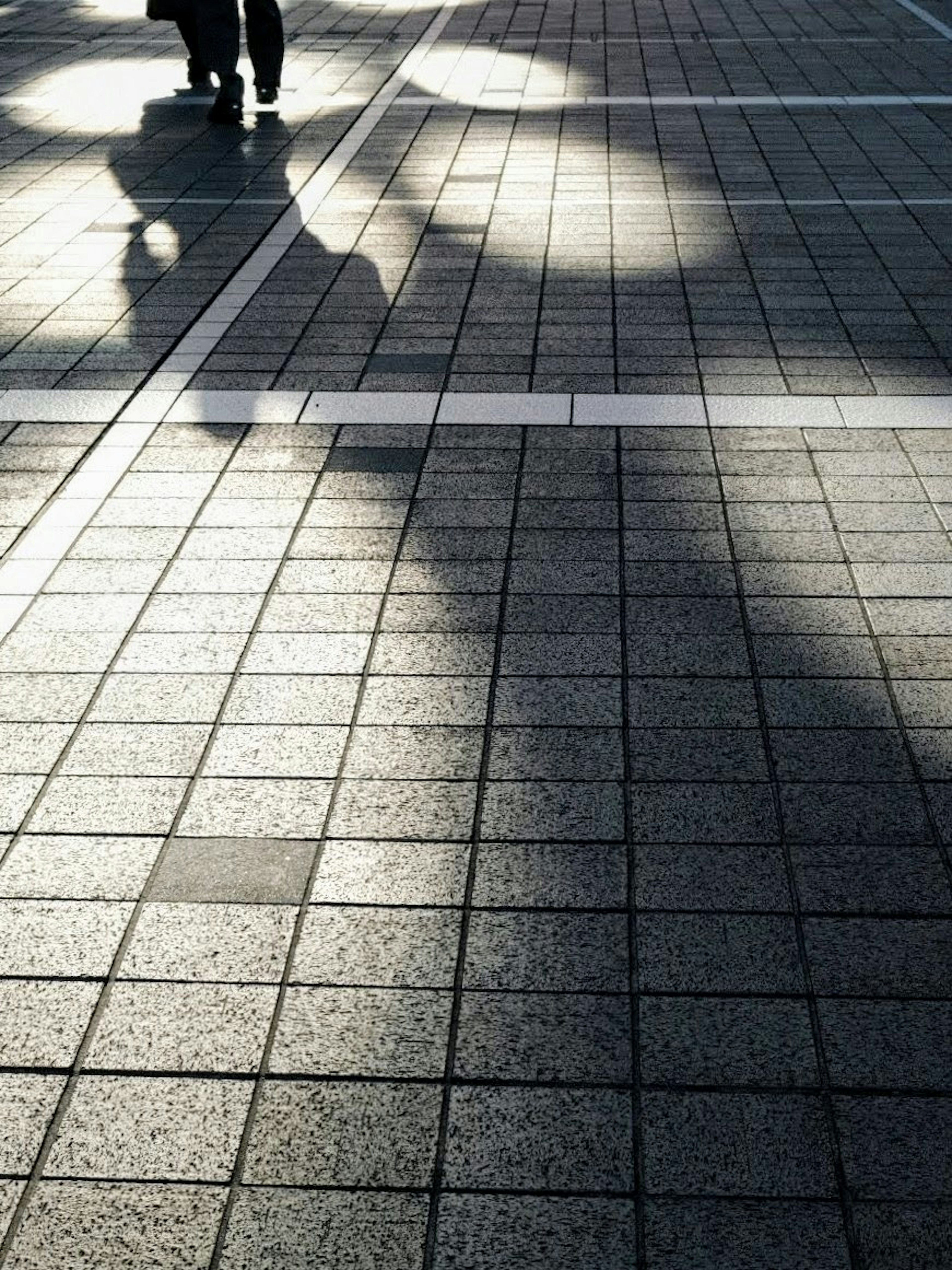 Shadows and light patterns on a paved surface