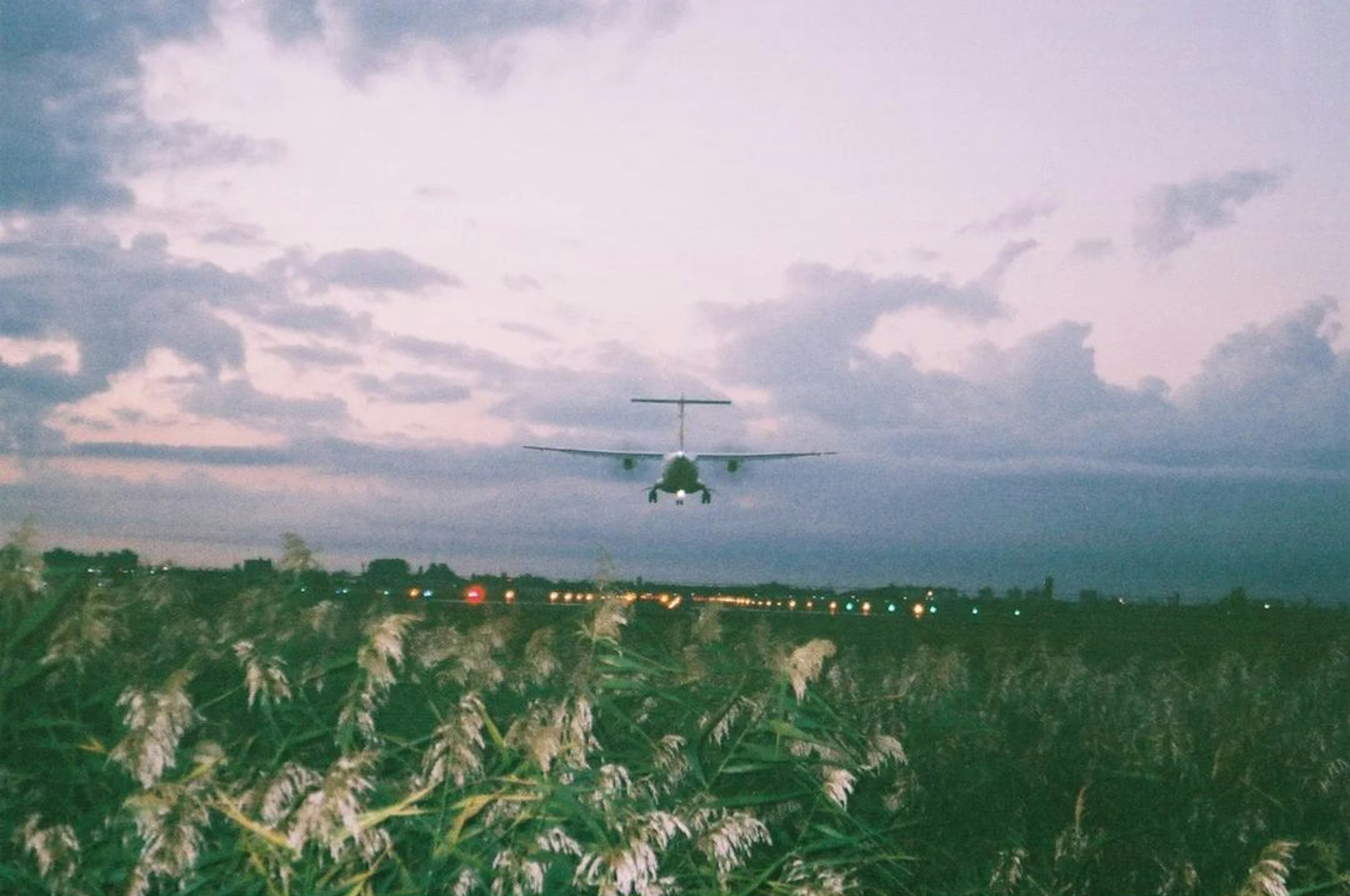 夕暮れの空を背景にした飛行機が草原の上を飛んでいる