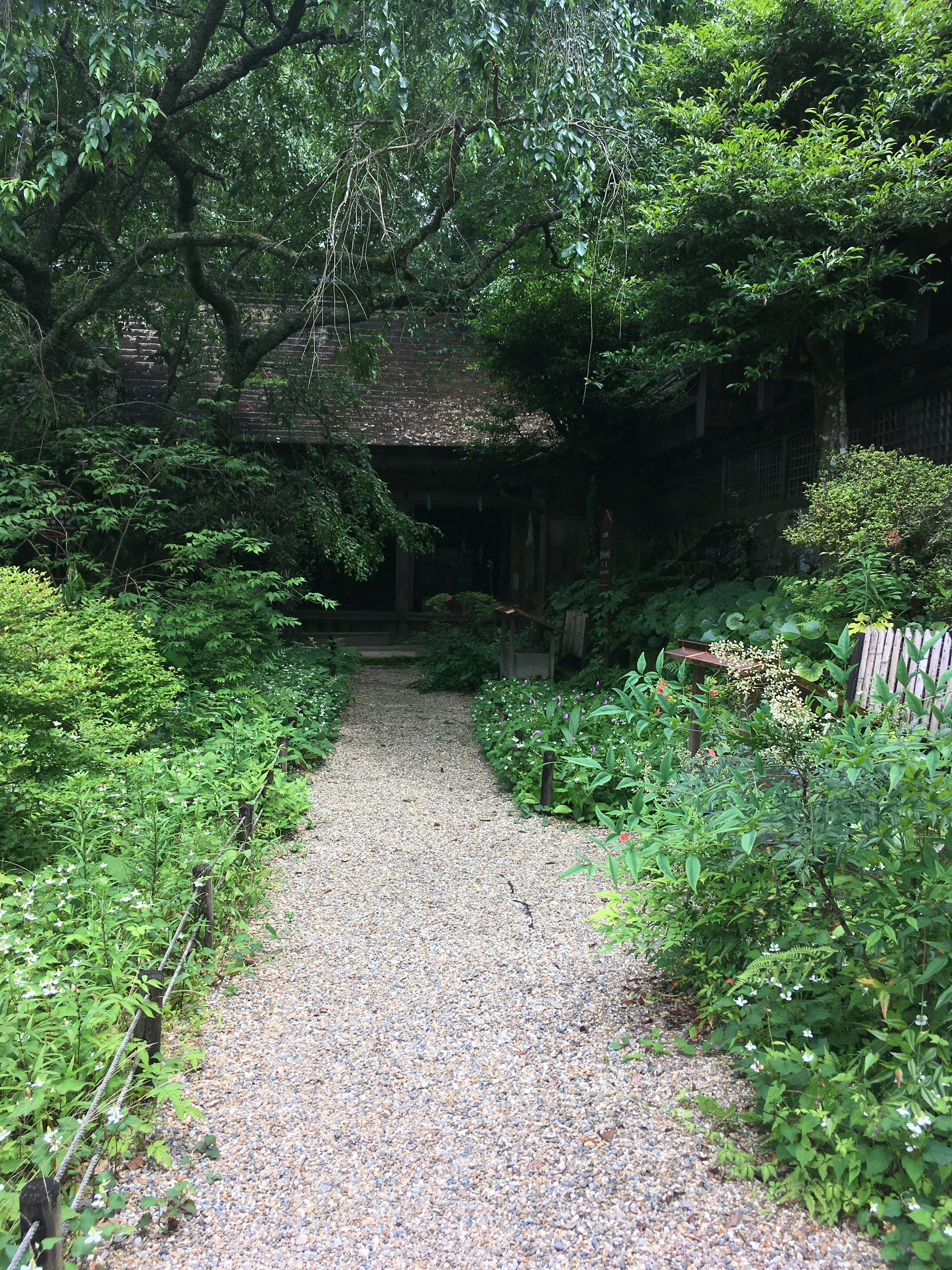 Ein ruhiger Gartenweg umgeben von üppigem Grün