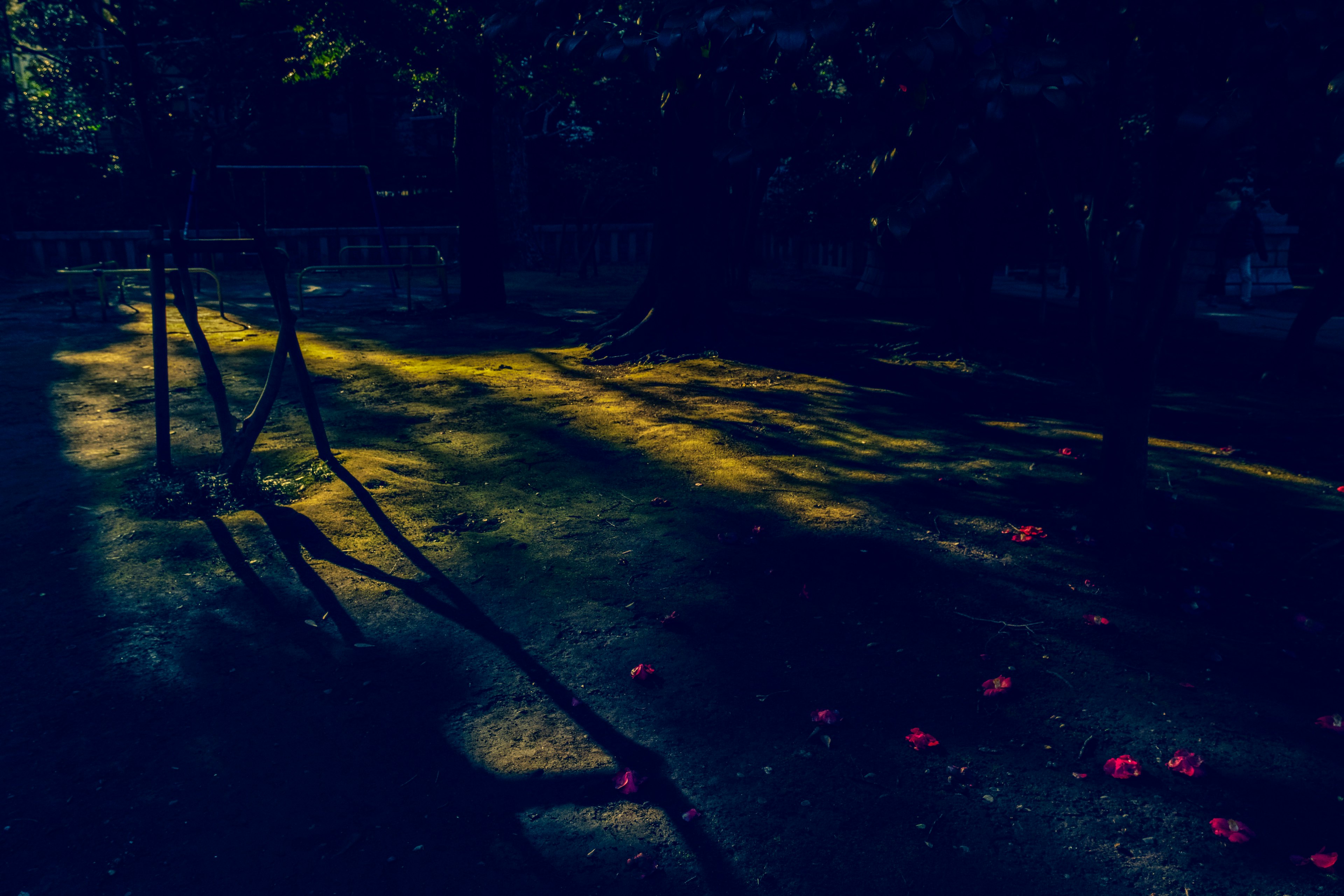 Scena di un parco poco illuminata con ombre di attrezzature per giochi e petali rossi sparsi