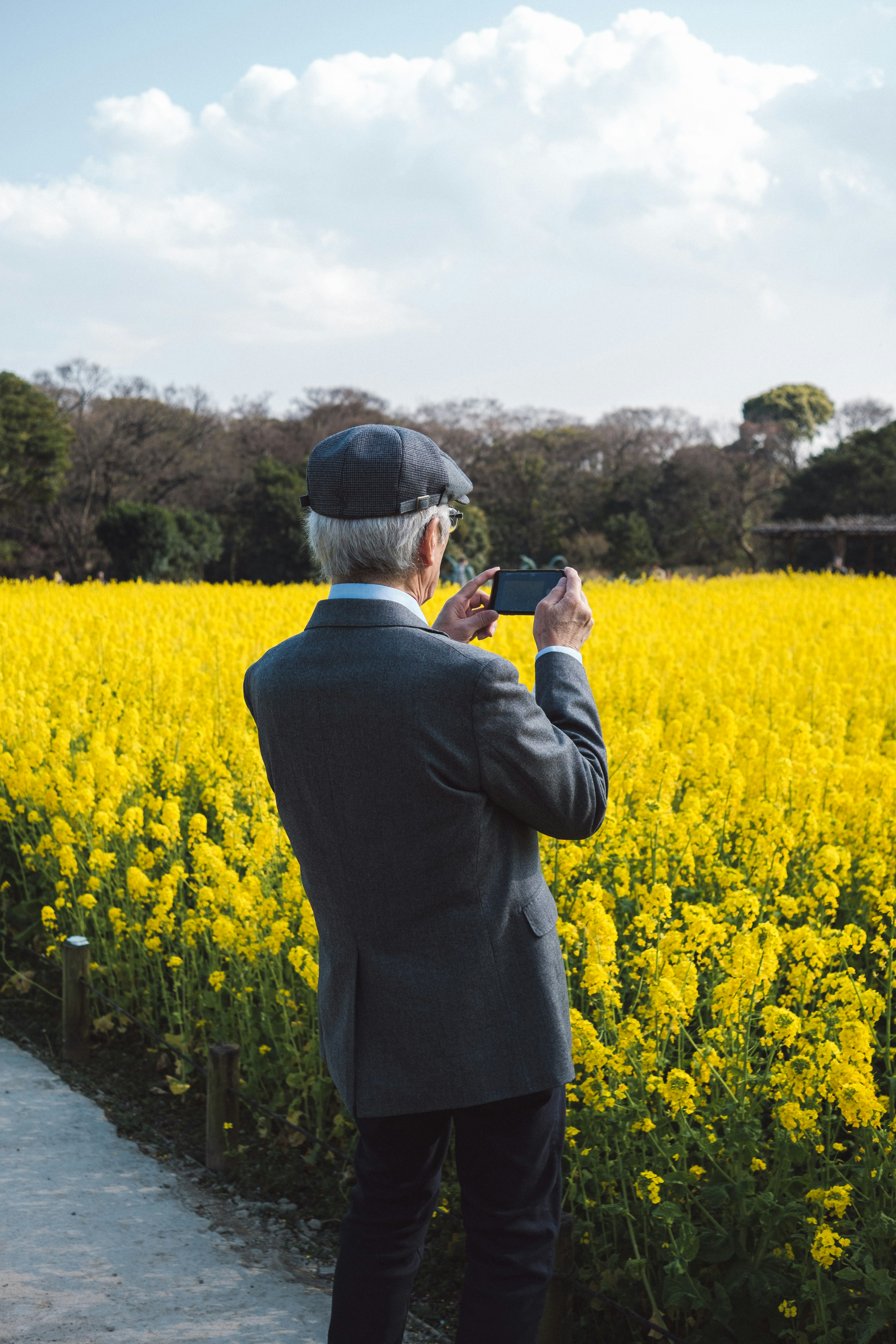 Homme âgé prenant une photo dans un champ de fleurs jaunes