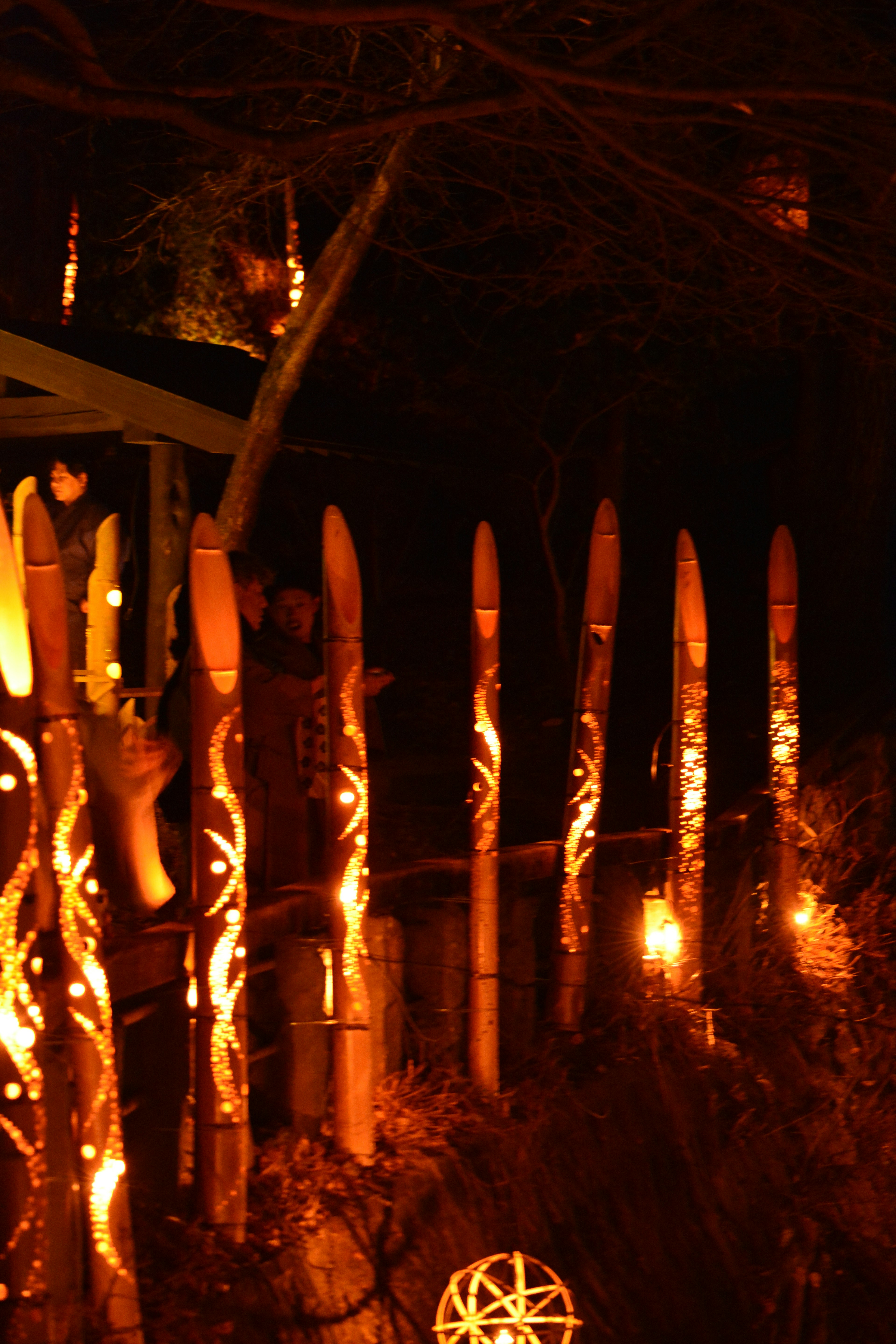 Decorative wooden poles illuminated at night with warm lights