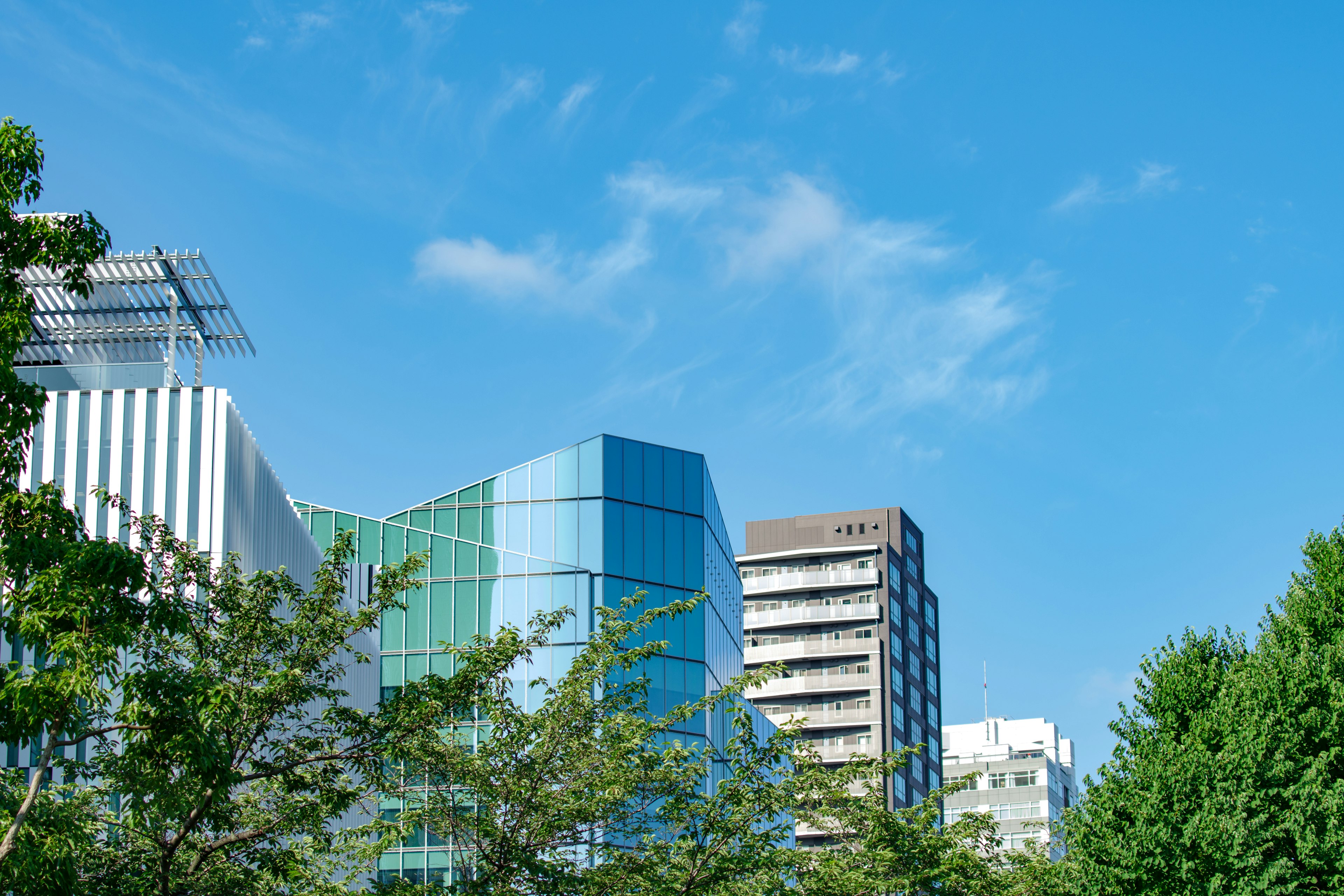 Modern buildings under a blue sky with green trees