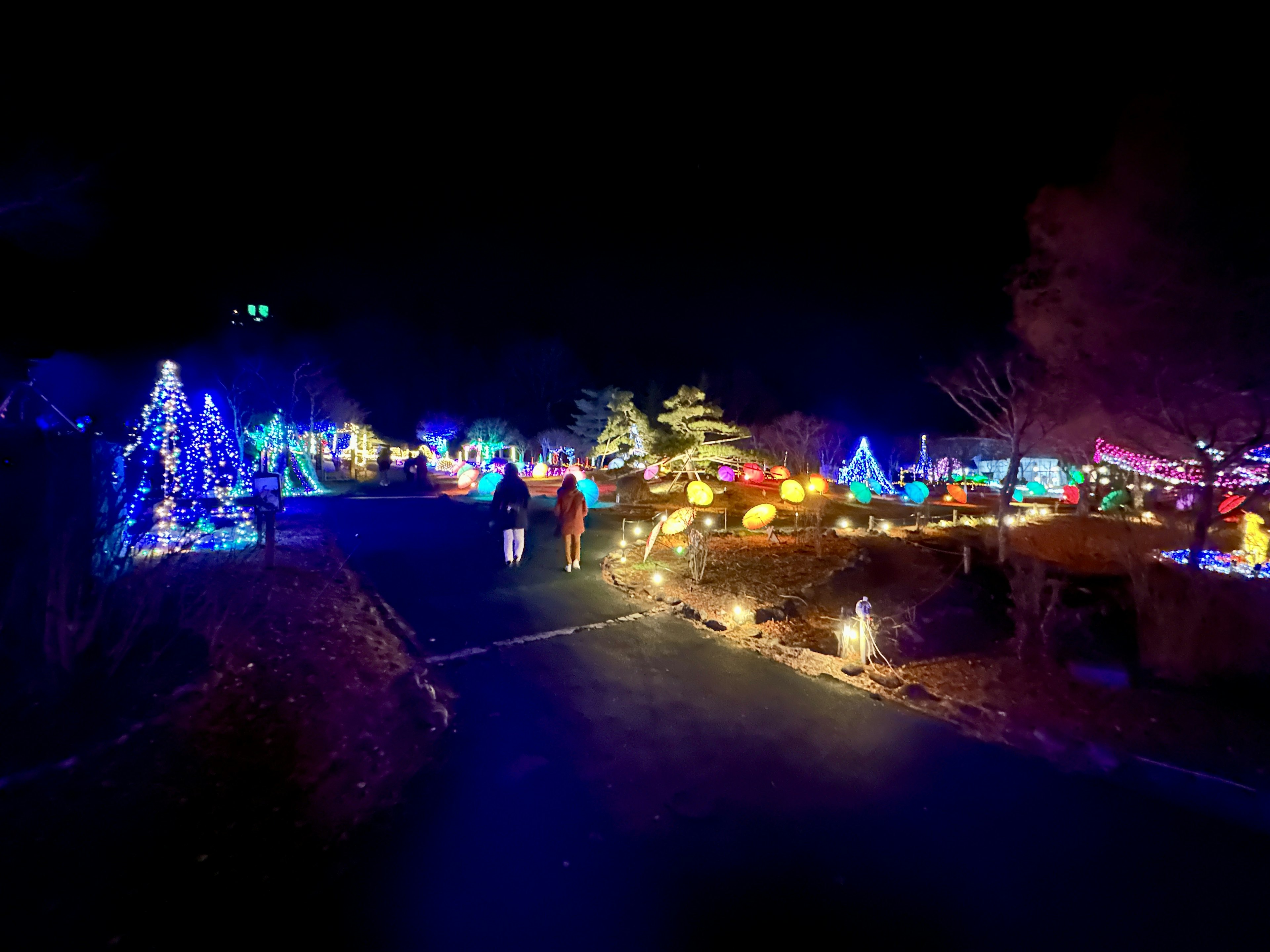 夜のクリスマスイルミネーションが輝く風景