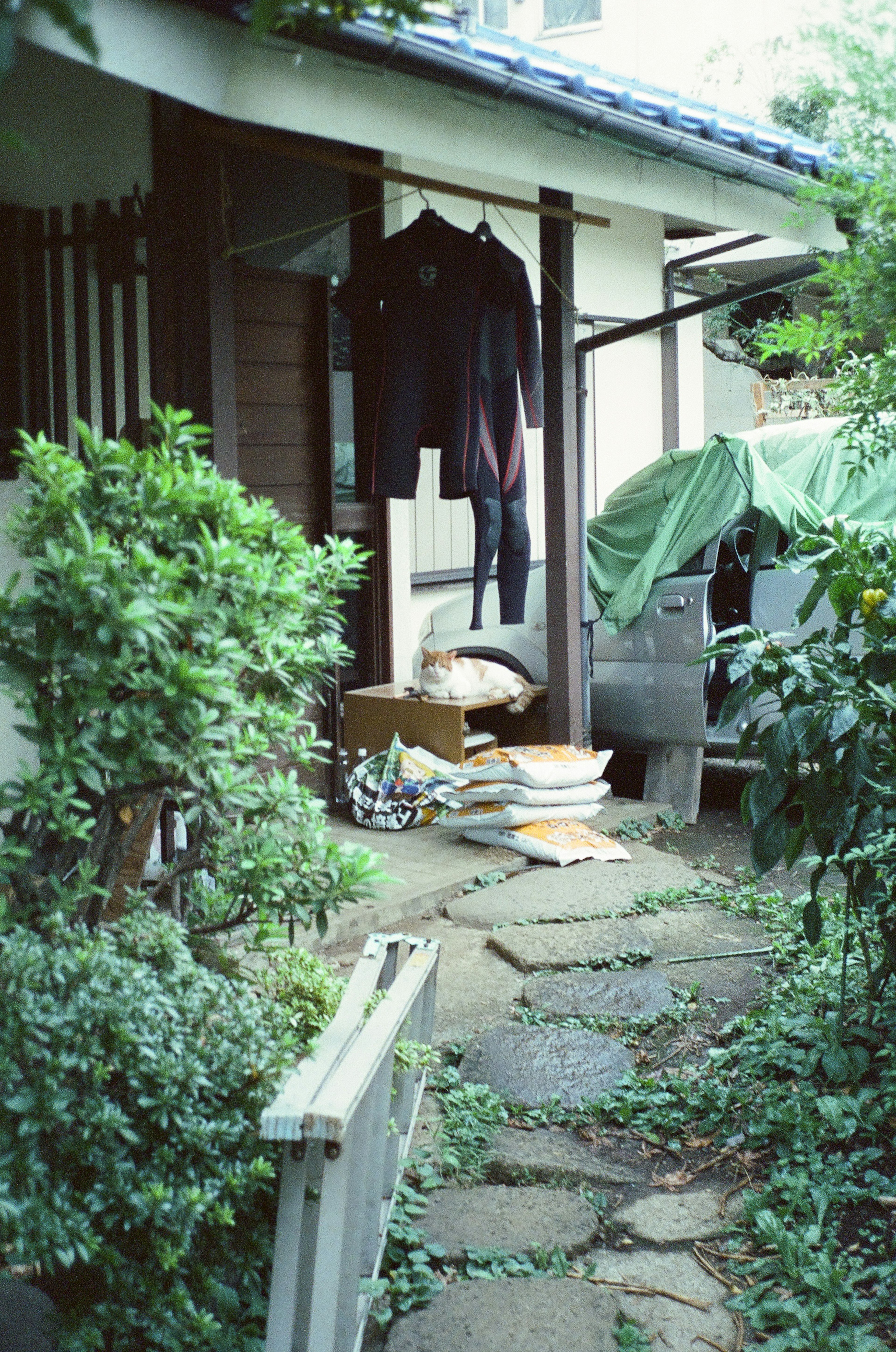 小道と植物に囲まれた日本の家の入口 服が干されている