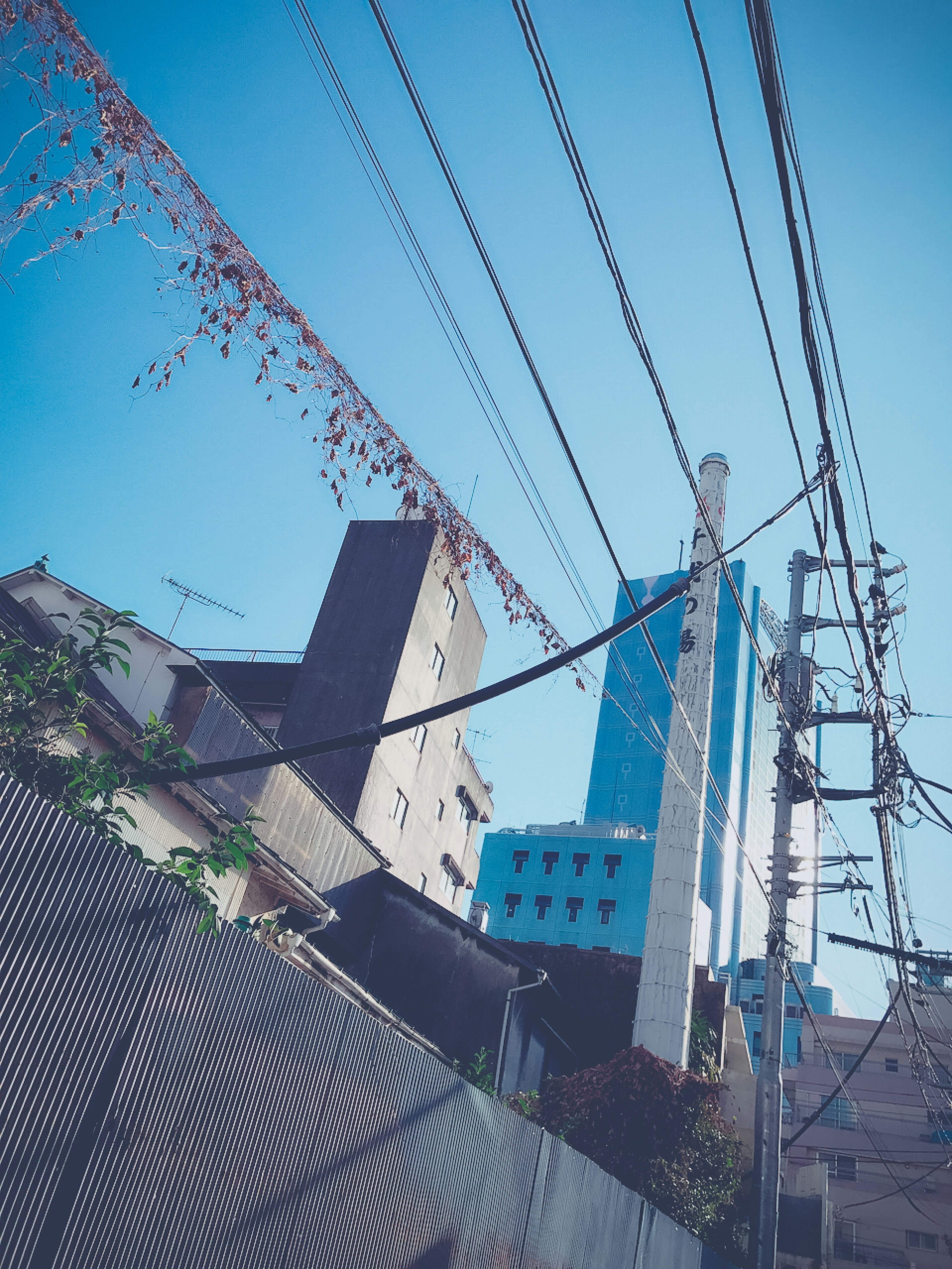 Urban scene with a tall building and power lines under a blue sky