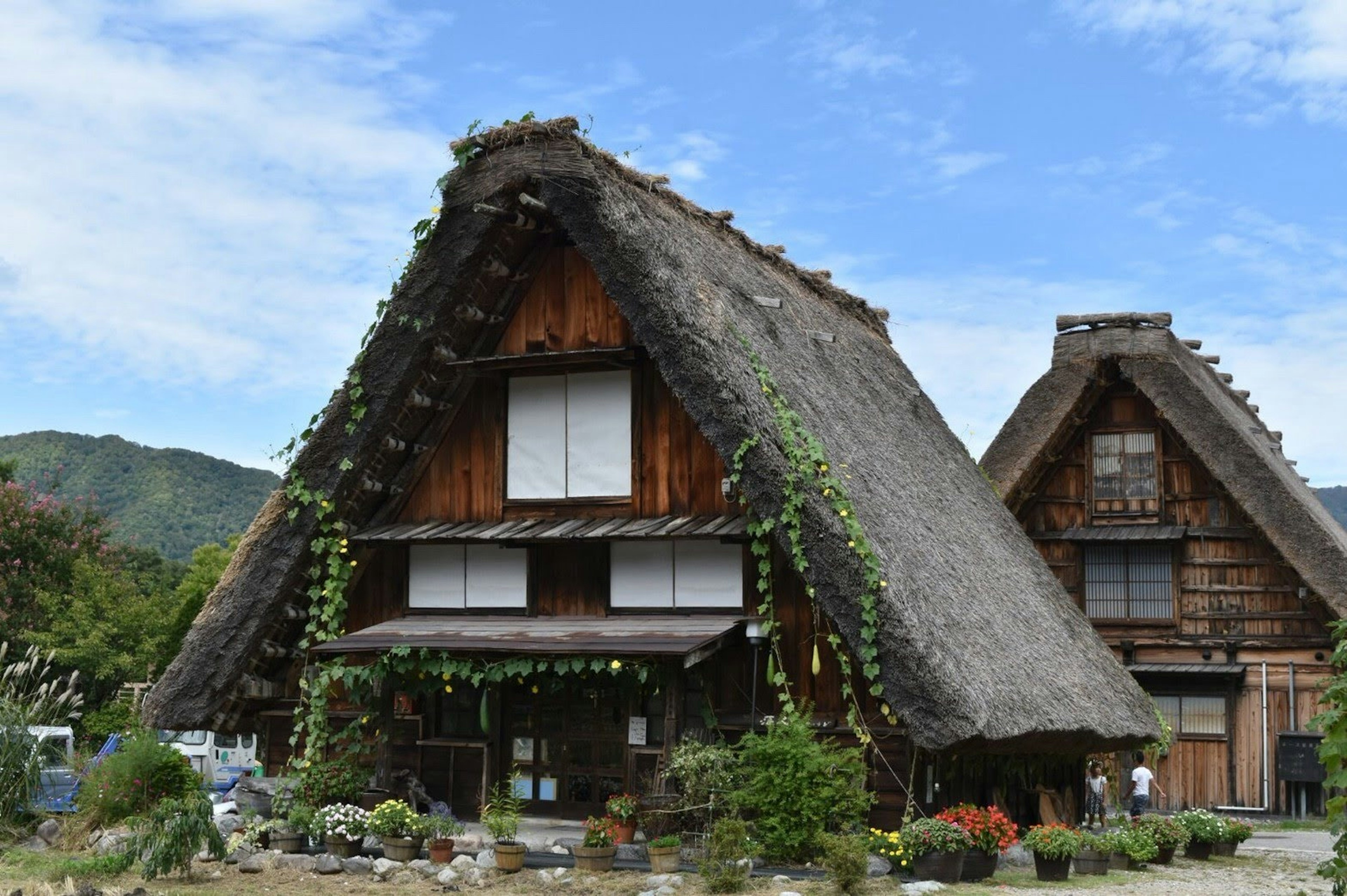 Traditional Gassho-zukuri house with a thatched roof wooden structure adorned with greenery