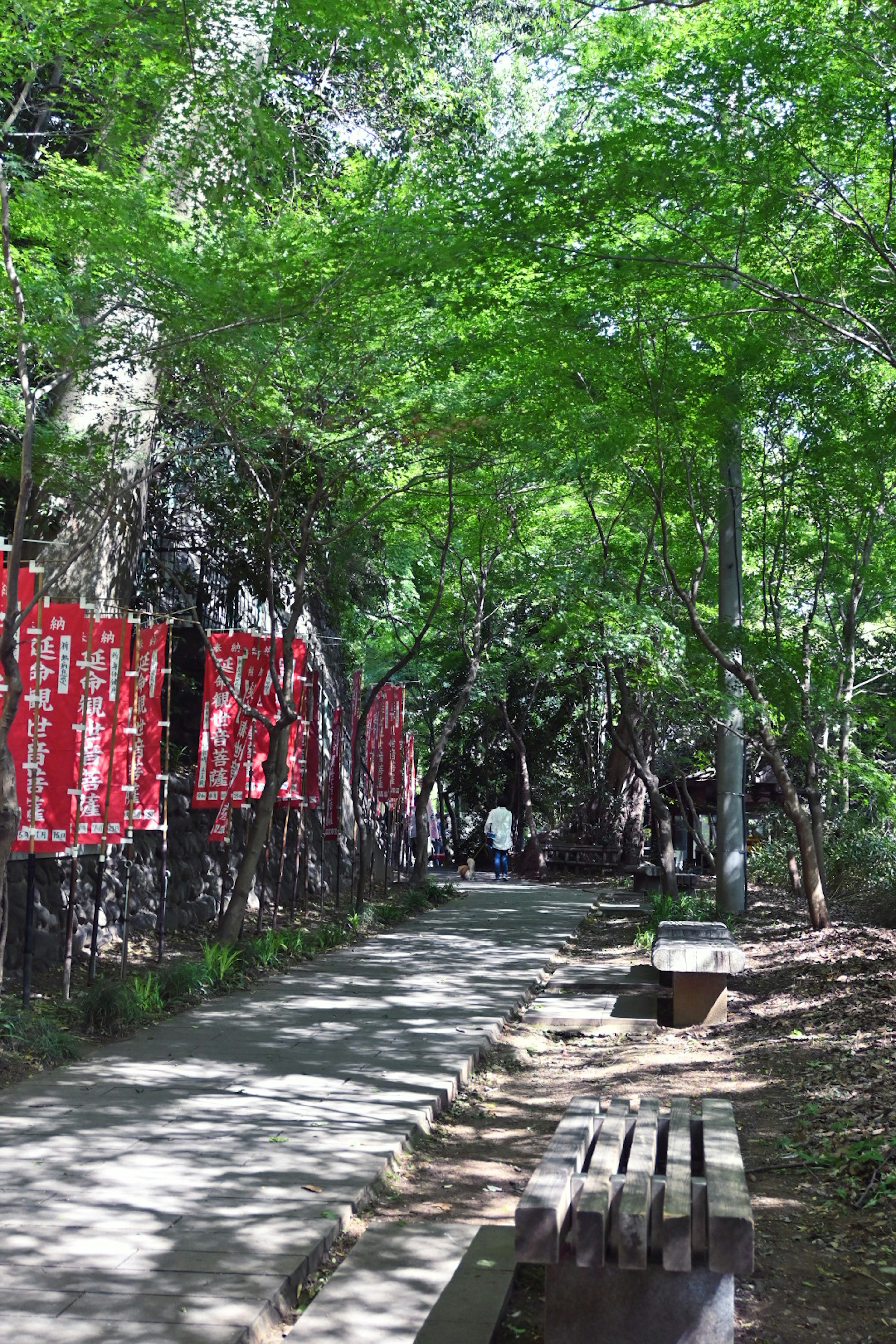 Un sentiero sereno circondato da alberi verdi con bandiere rosse appese nelle vicinanze