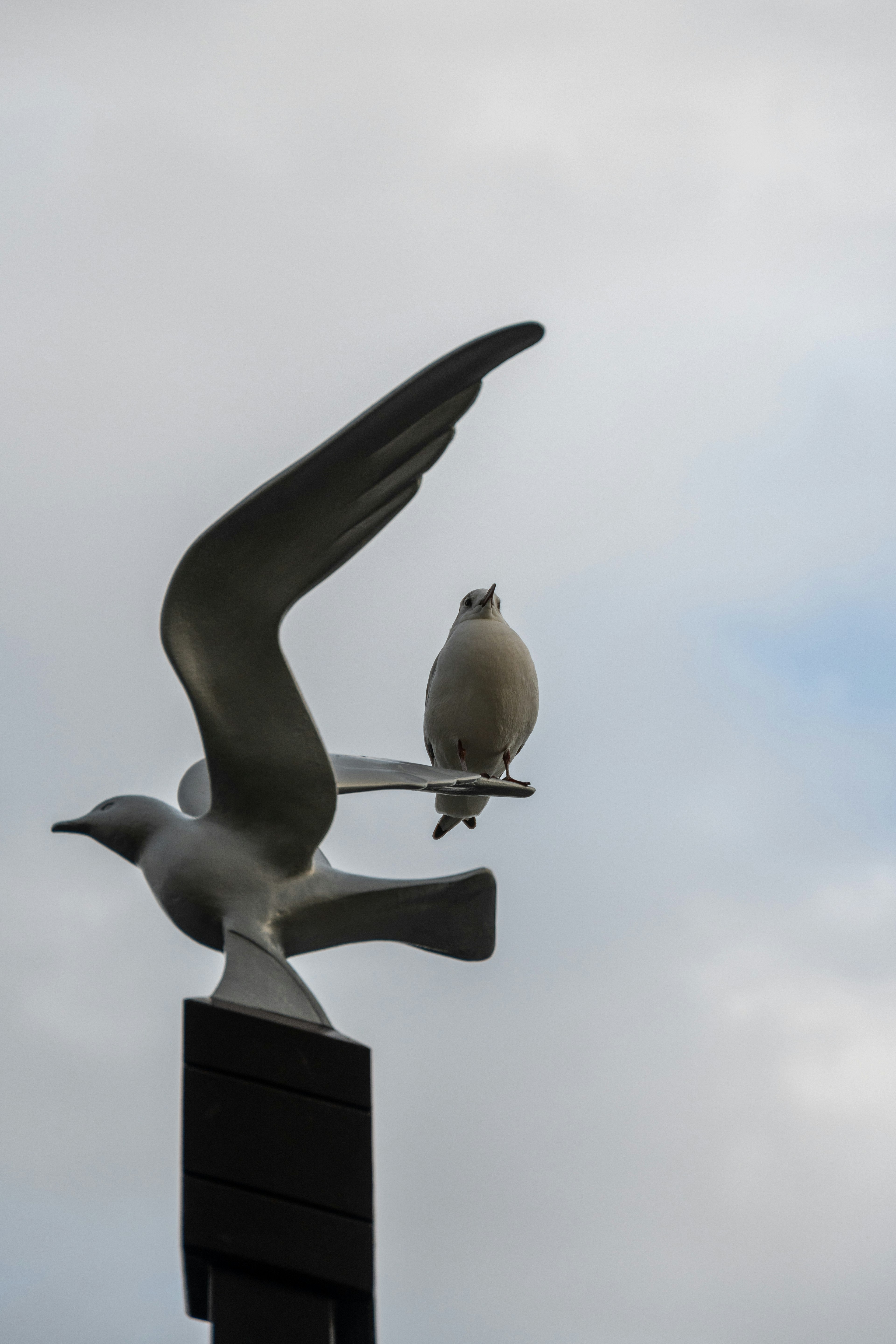 Two bird sculptures against a cloudy sky