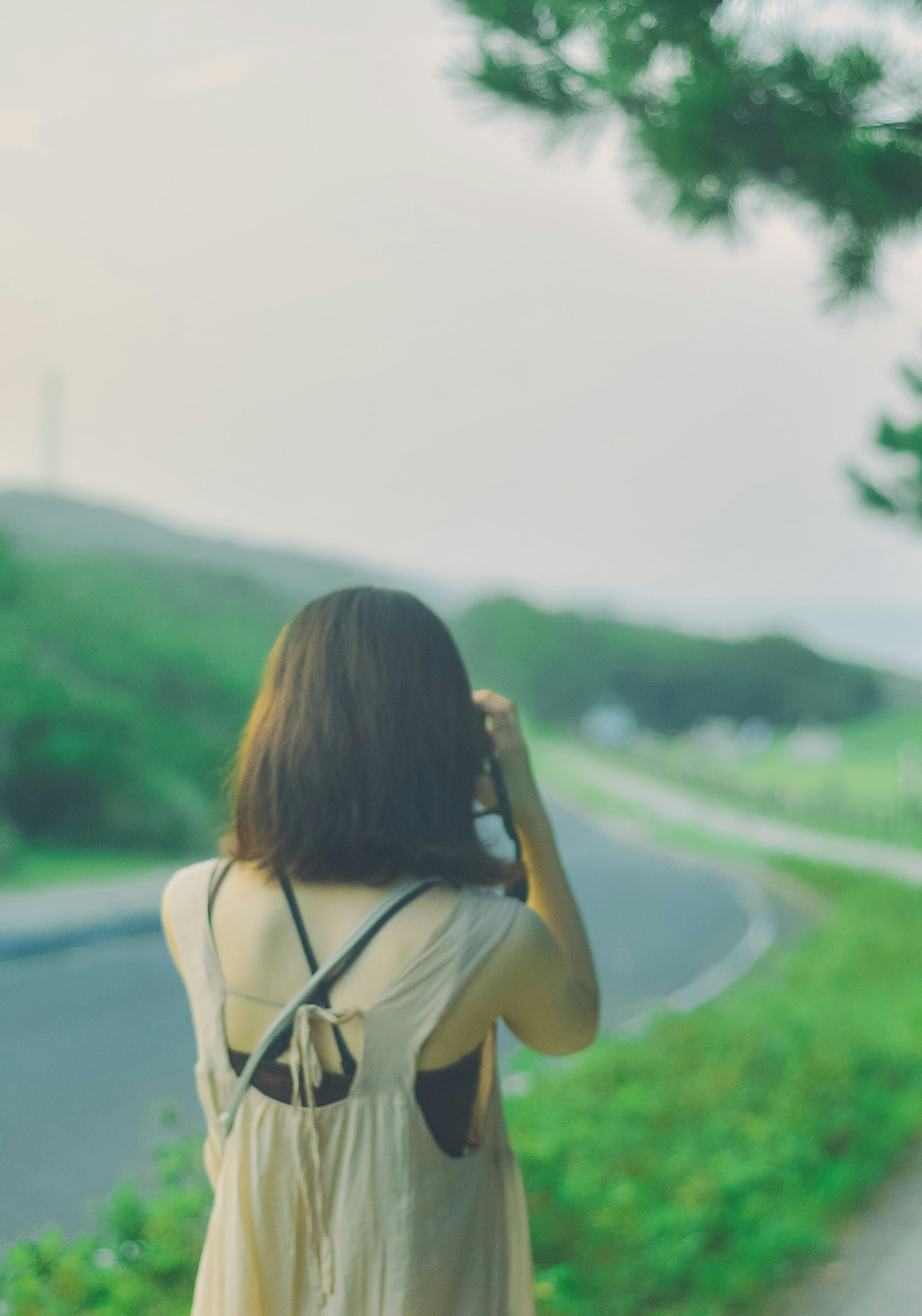 一名女性背對著鏡頭，望著綠色景觀中的道路