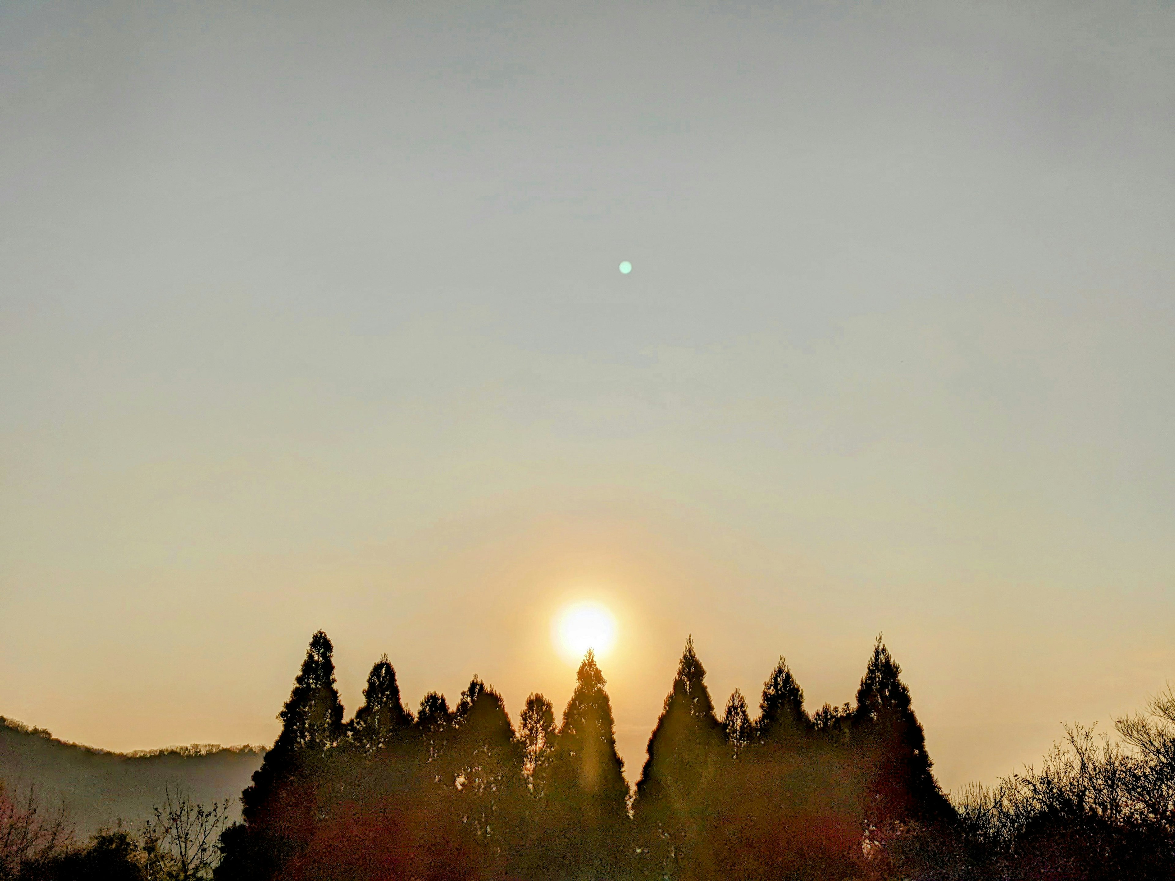 Lever de soleil derrière des silhouettes d'arbres