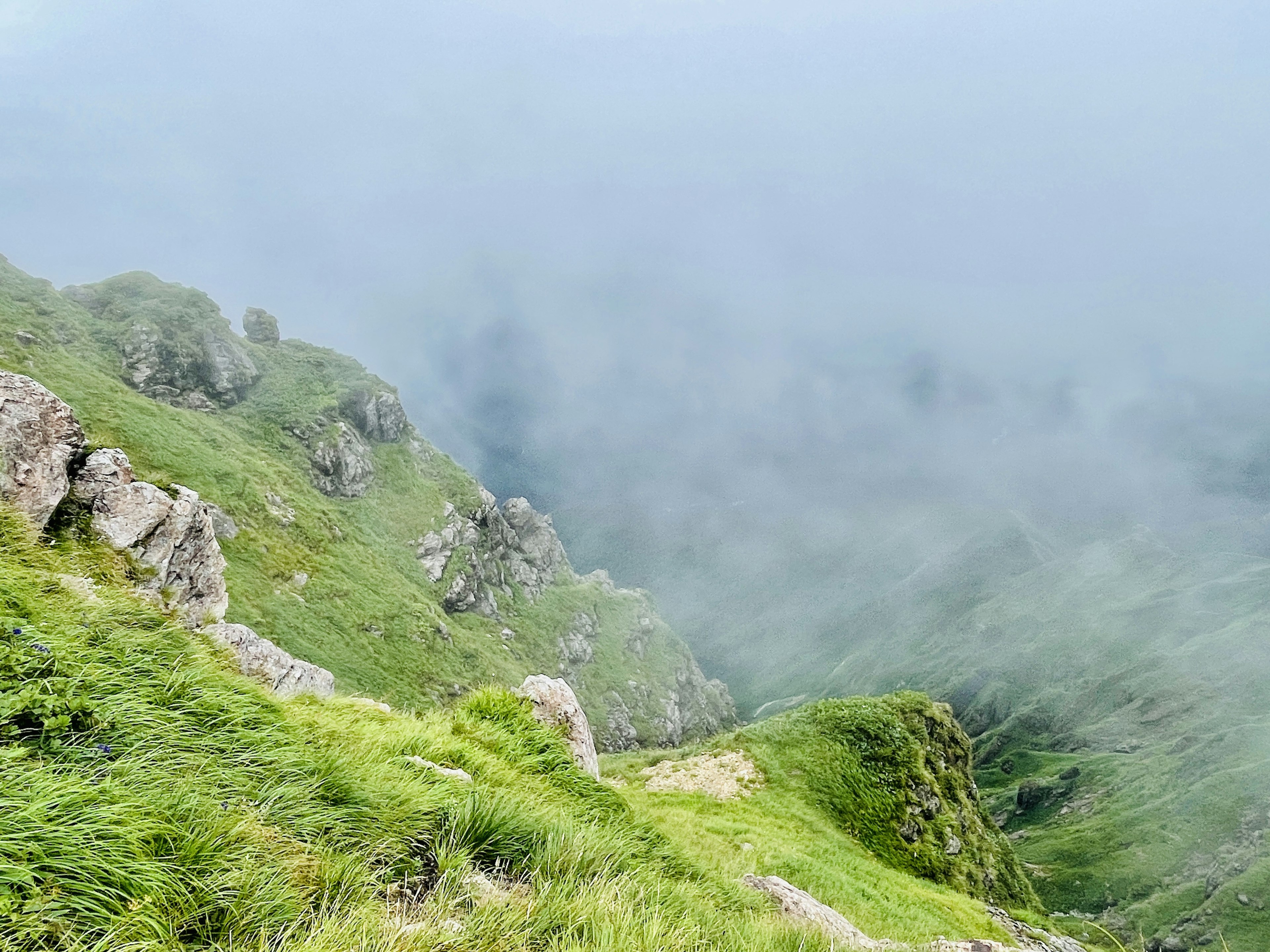 Grüne Bergneigung im Nebel mit Felsen