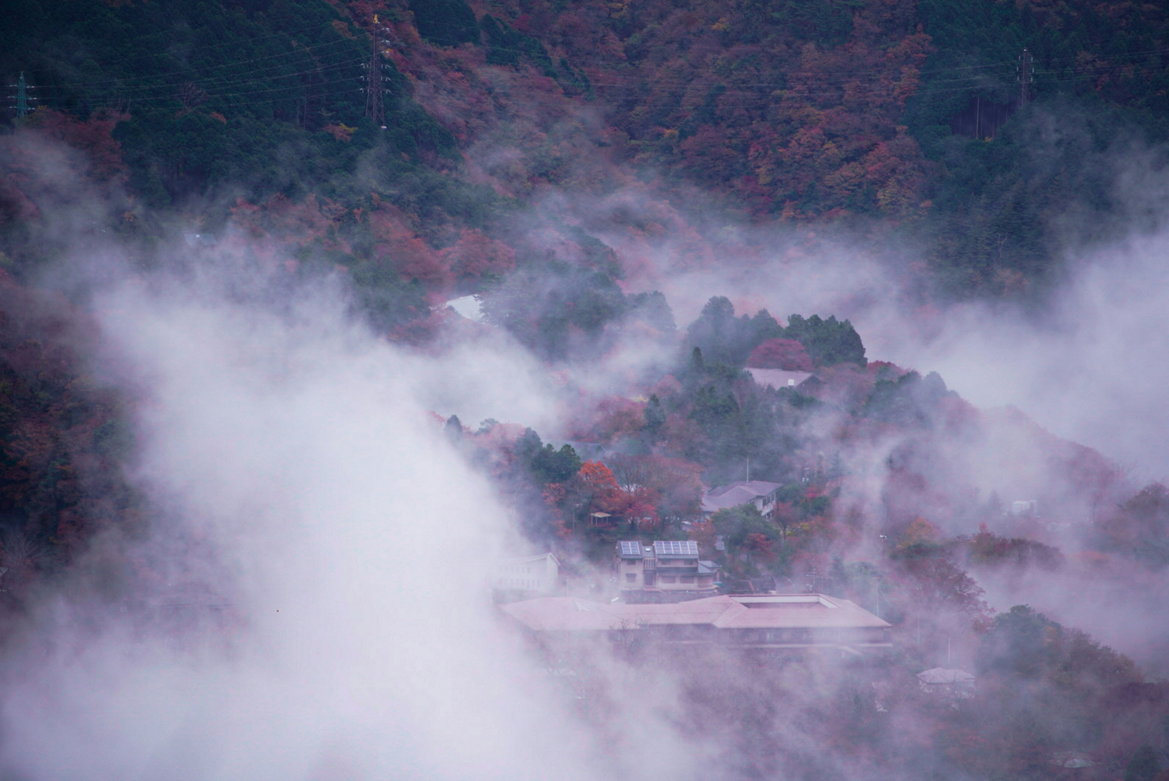 霧に包まれた山間の風景と紅葉の木々