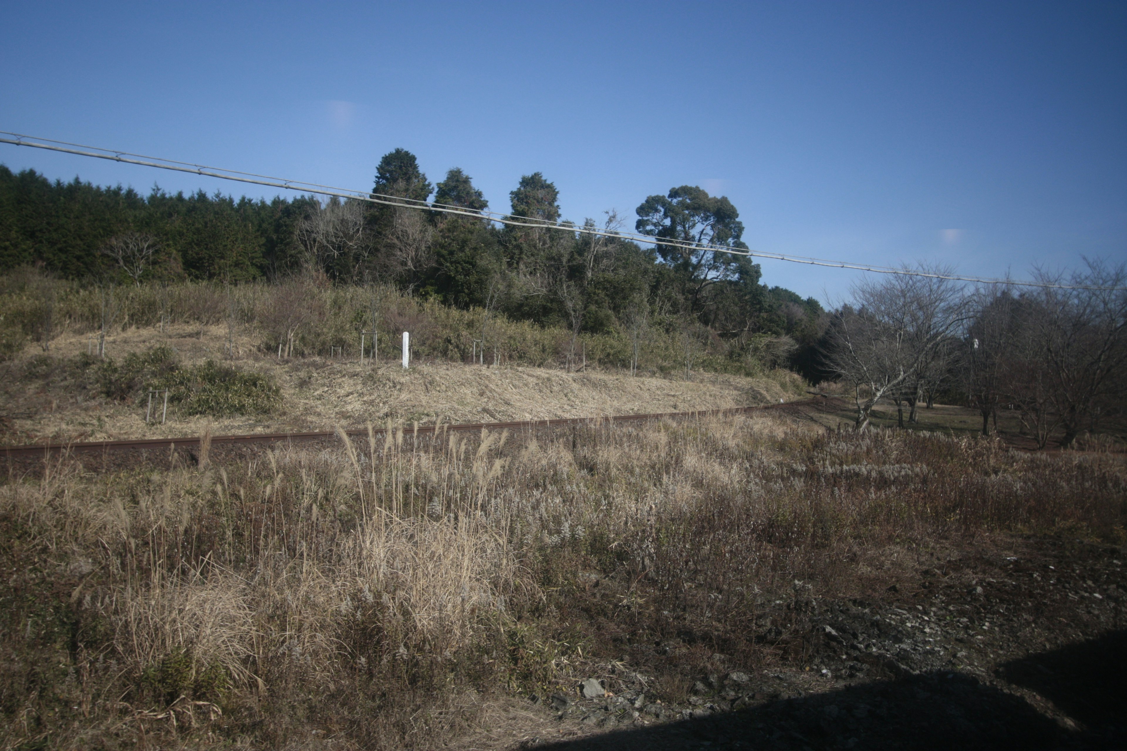 Paesaggio con erba incolta che circonda binari del treno