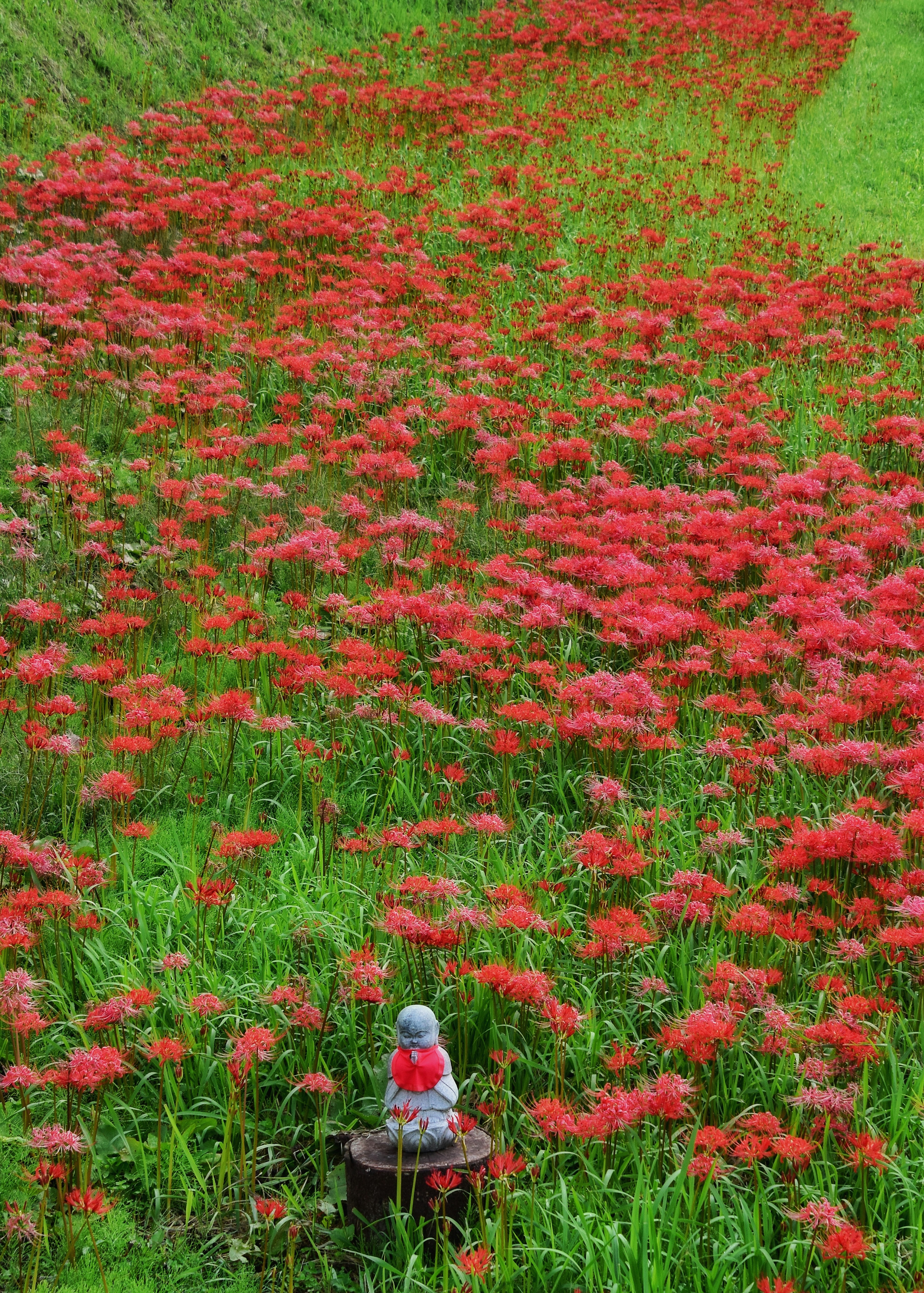 Une petite statue au milieu d'une mer de fleurs rouges dans un champ vert