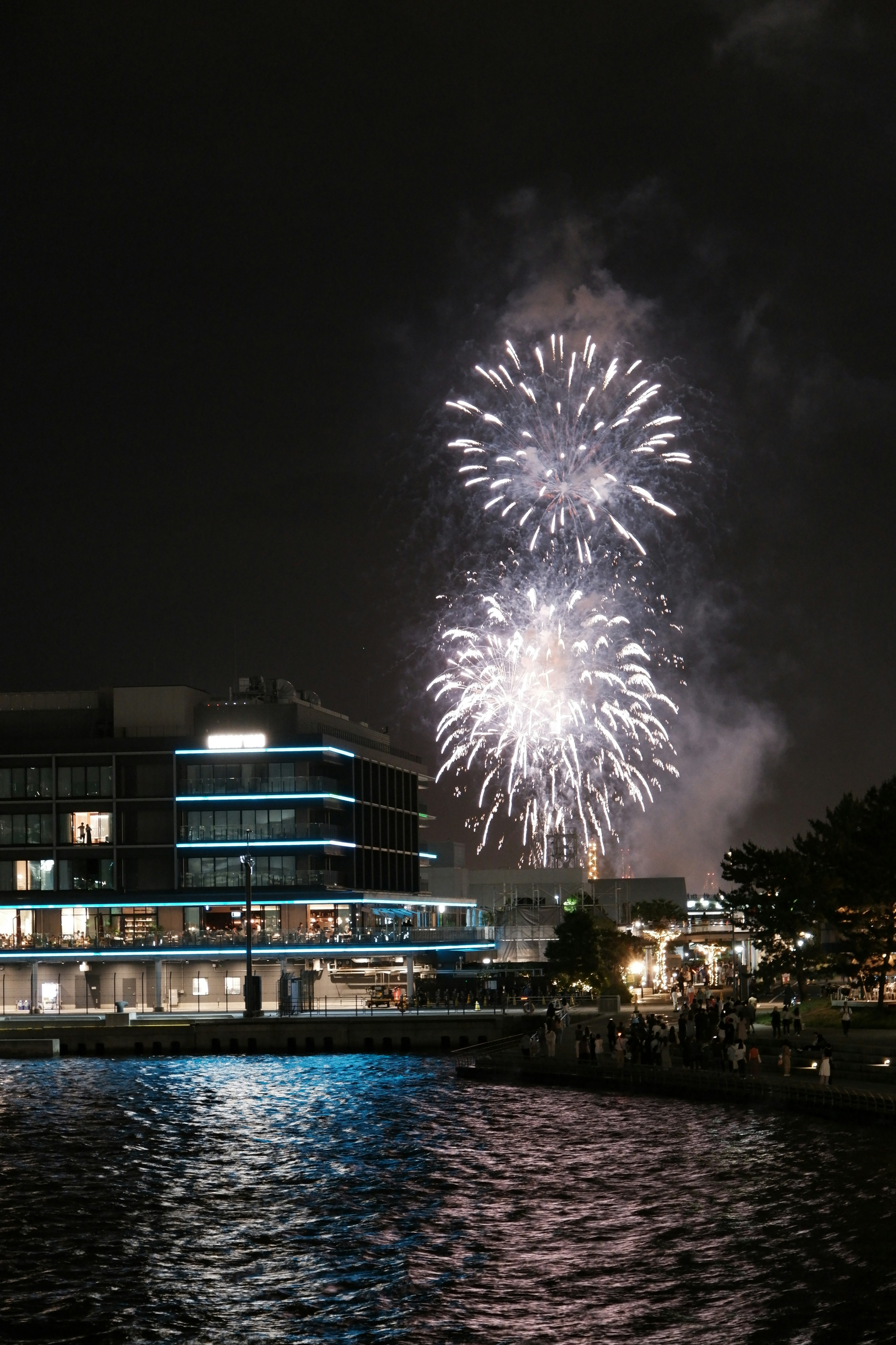 五光十色的烟花照亮夜空，水边建筑的美景