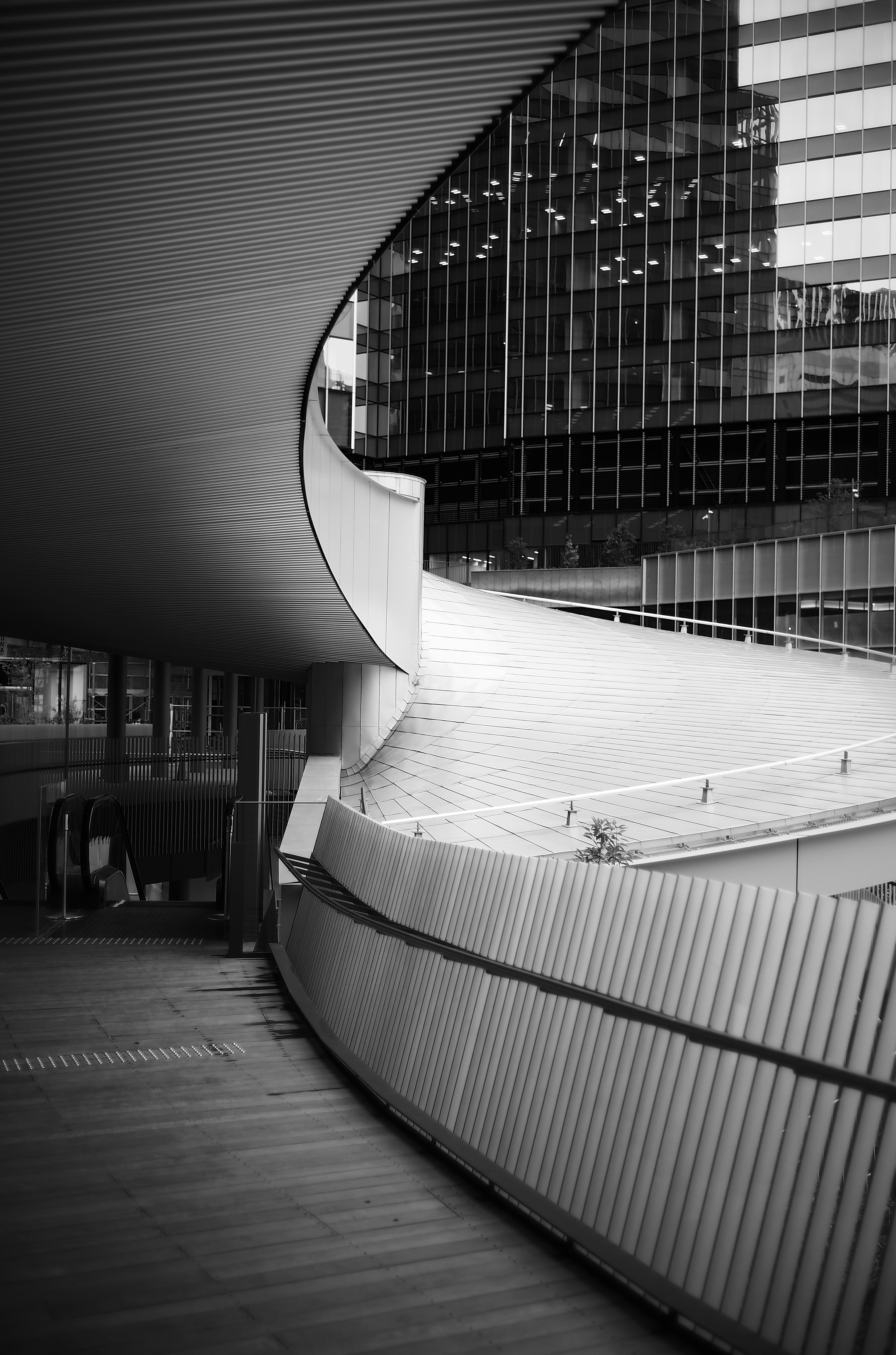 Fotografía en blanco y negro que muestra un diseño arquitectónico curvo y una fachada de vidrio moderna