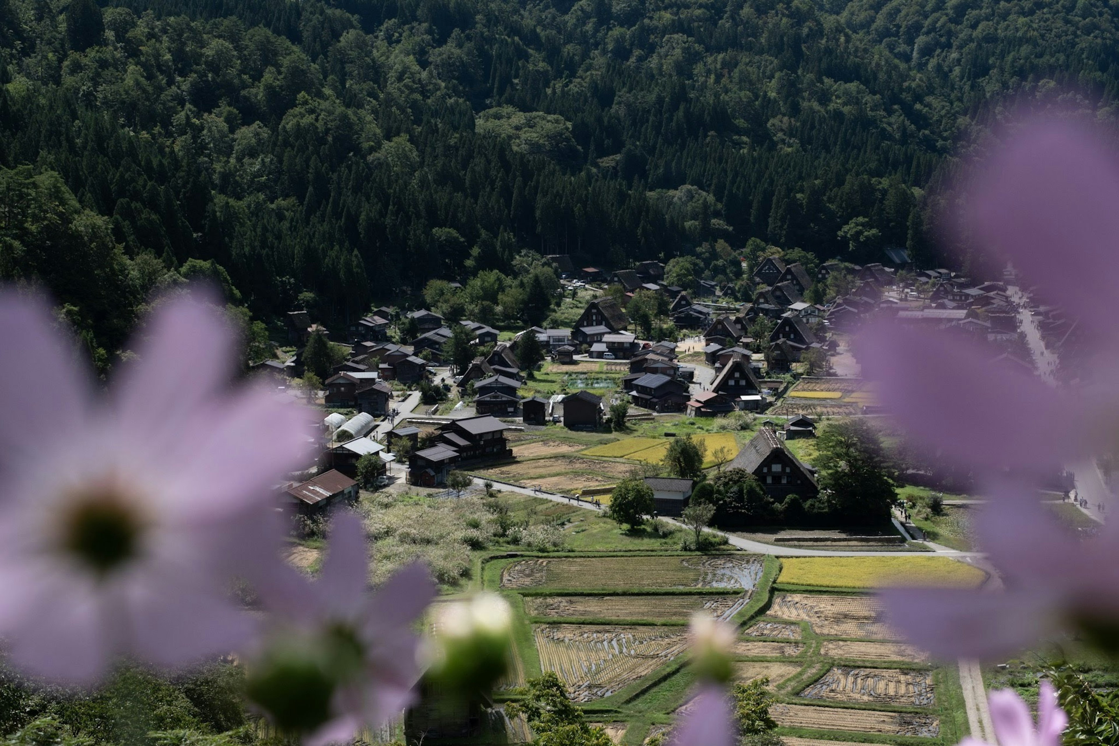 村庄的鸟瞰图，四周环绕着山，前景有花