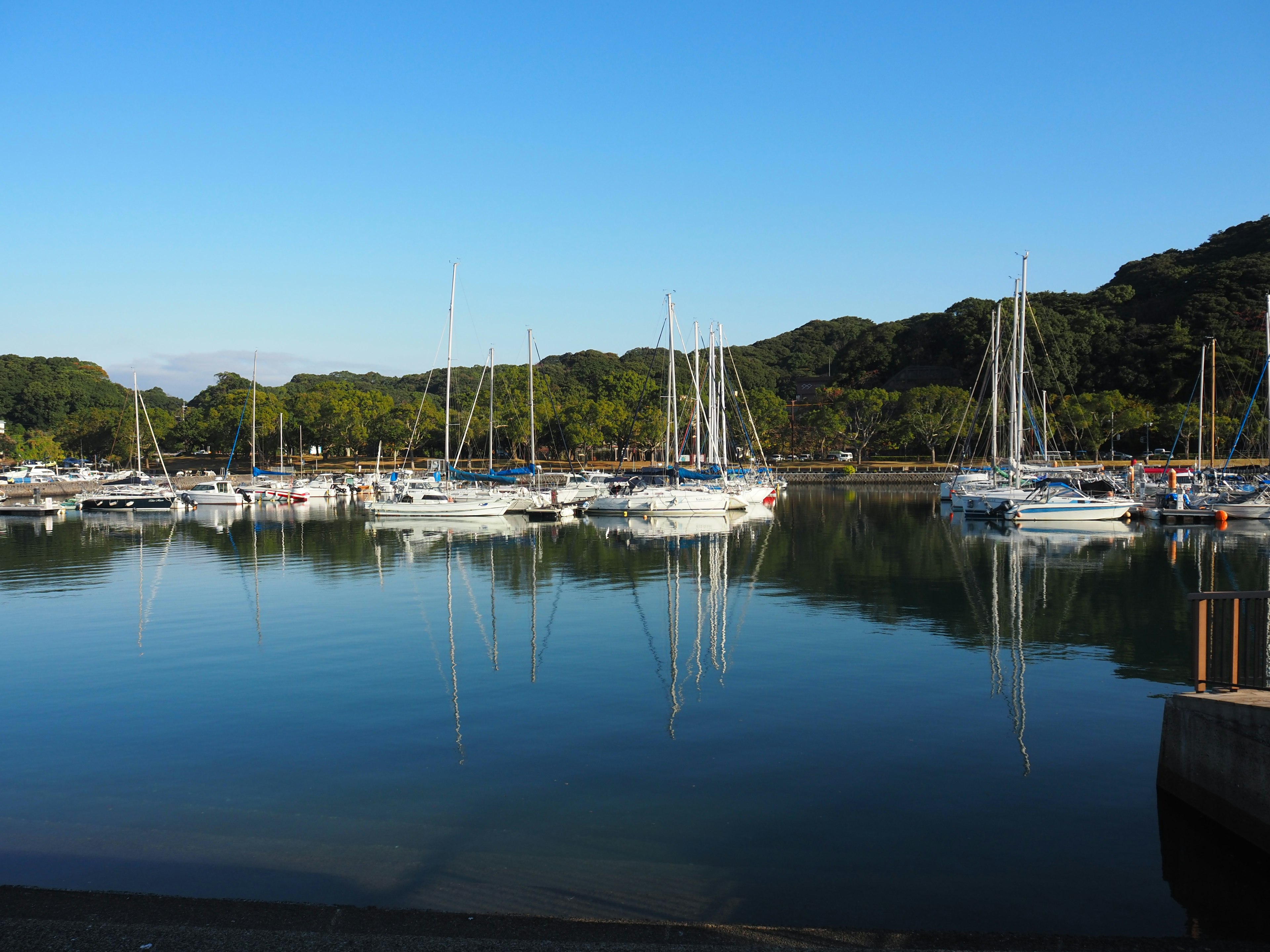 Calm harbor scene with moored yachts surrounded by lush green hills and clear blue sky