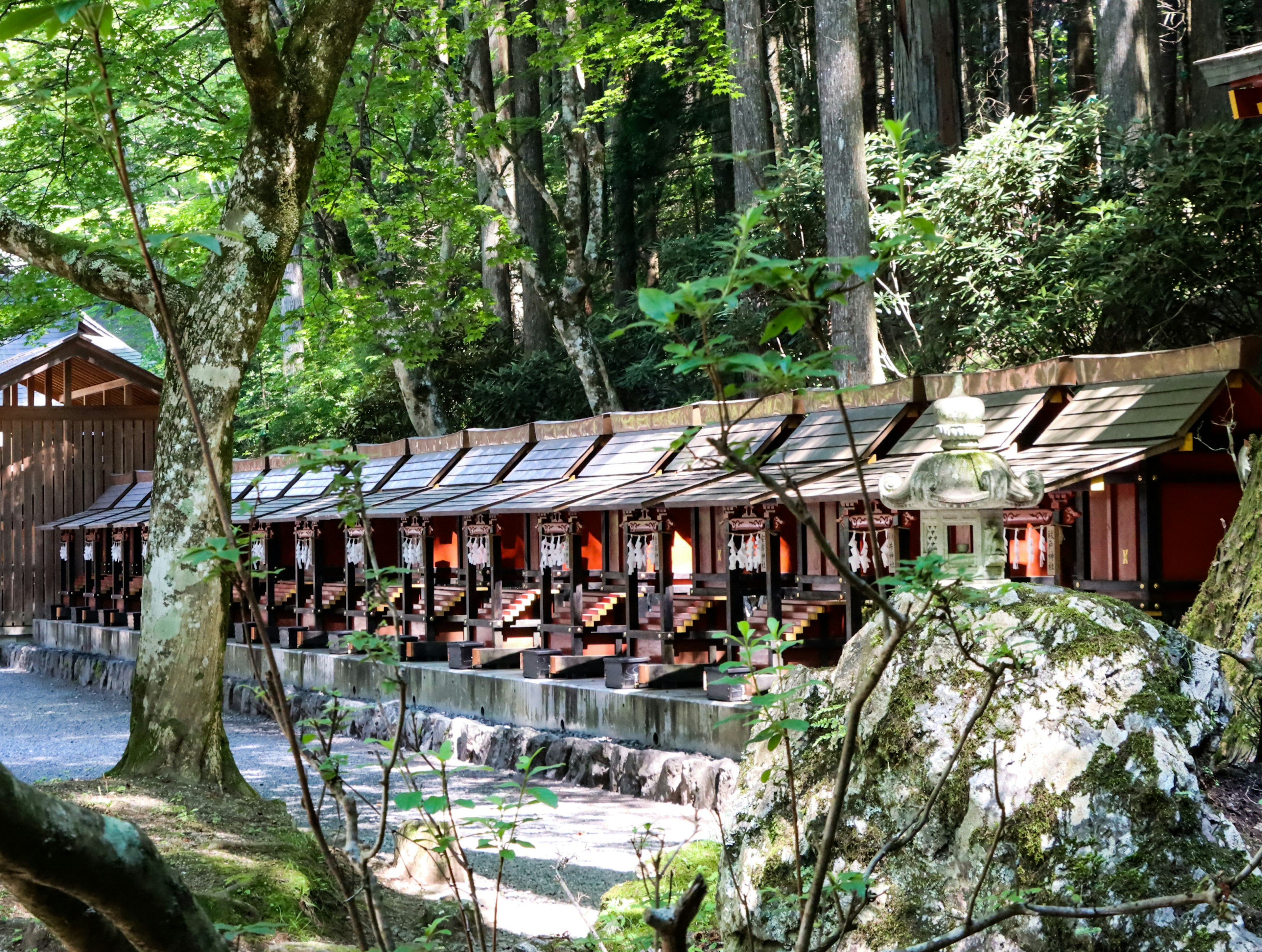 Wooden huts lined up in a green forest setting