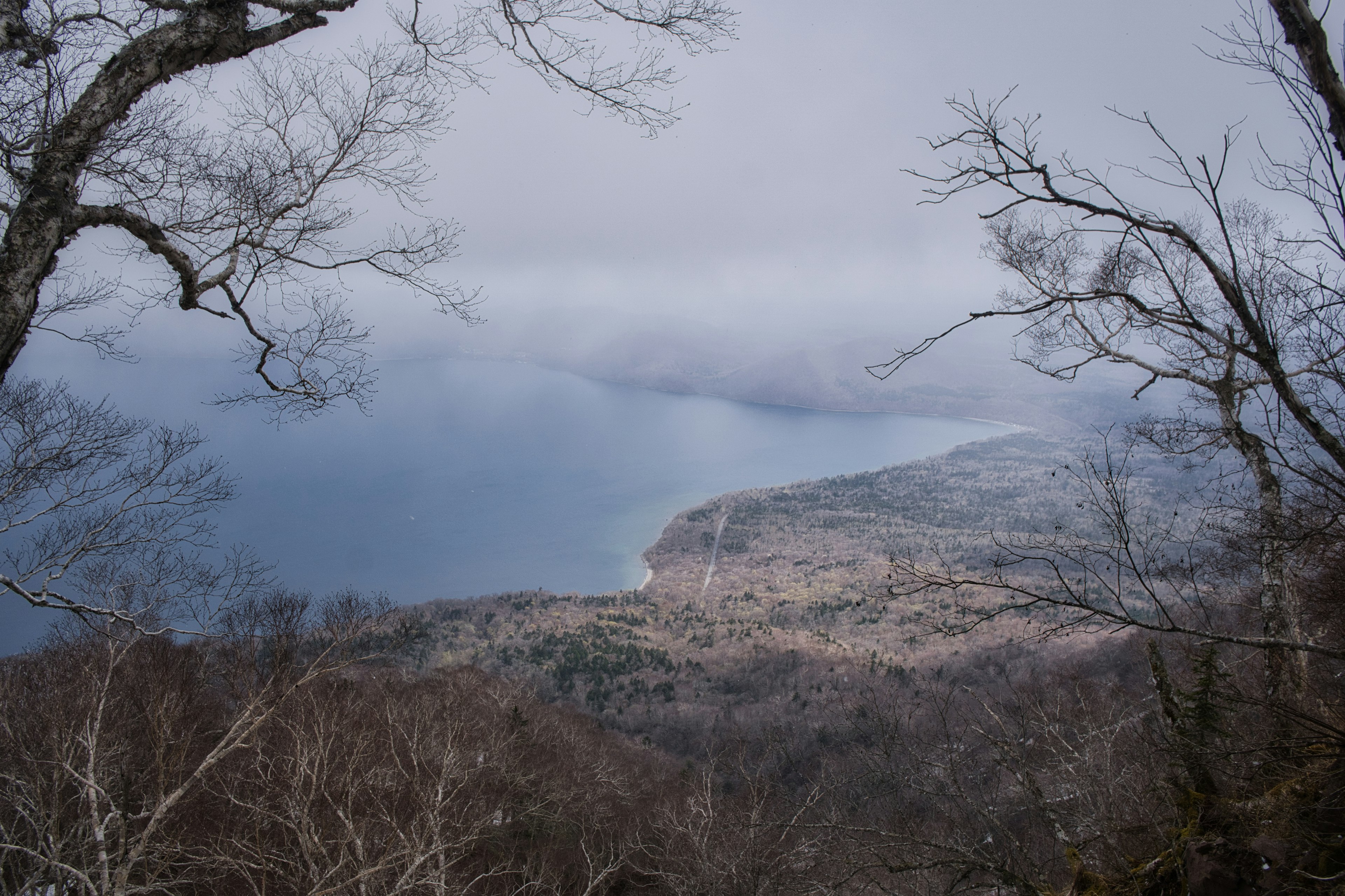 霧に包まれた山と海の景色、冬の木々が見える