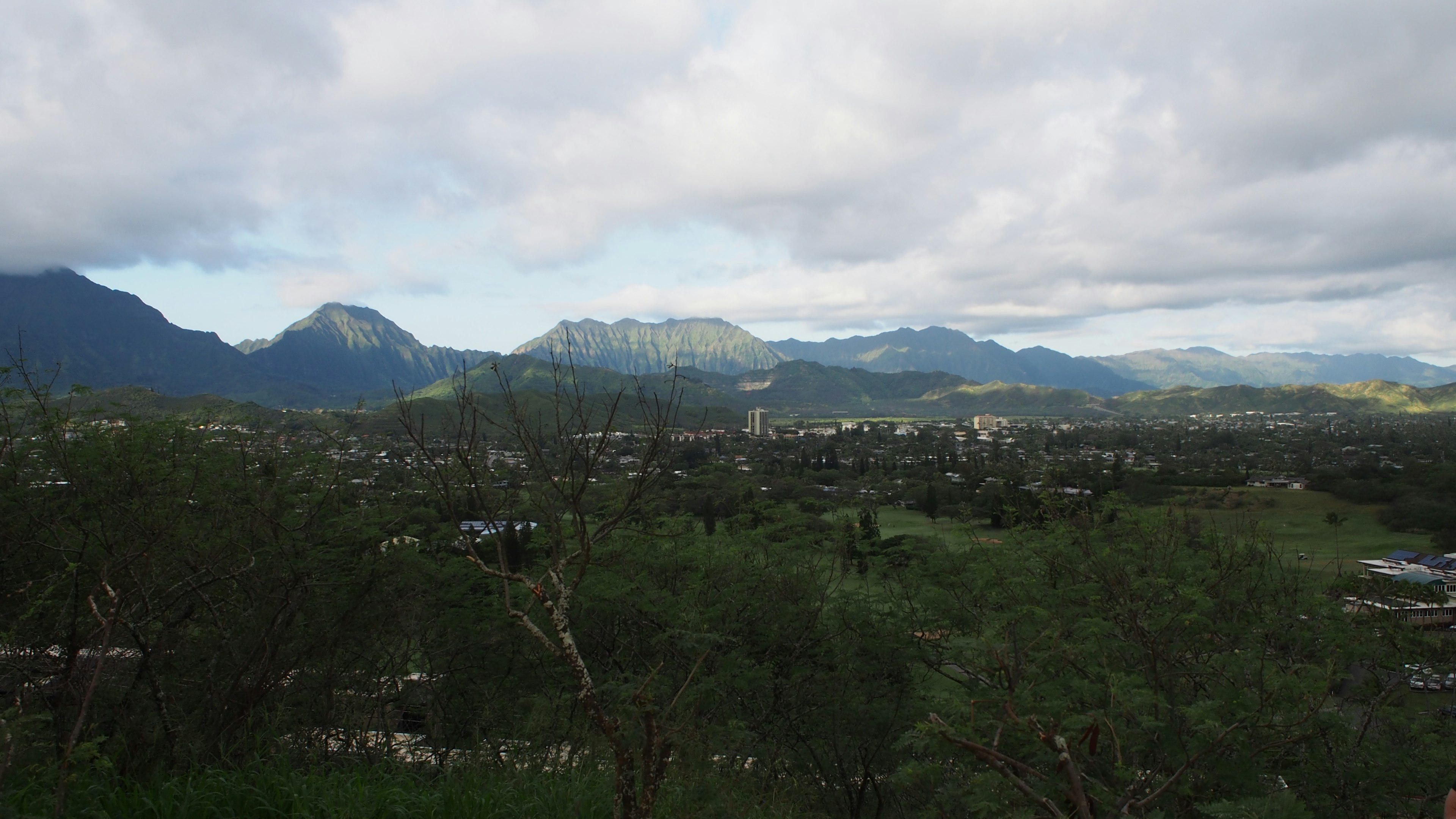 Pemandangan subur dengan pegunungan dalam pemandangan Hawaii