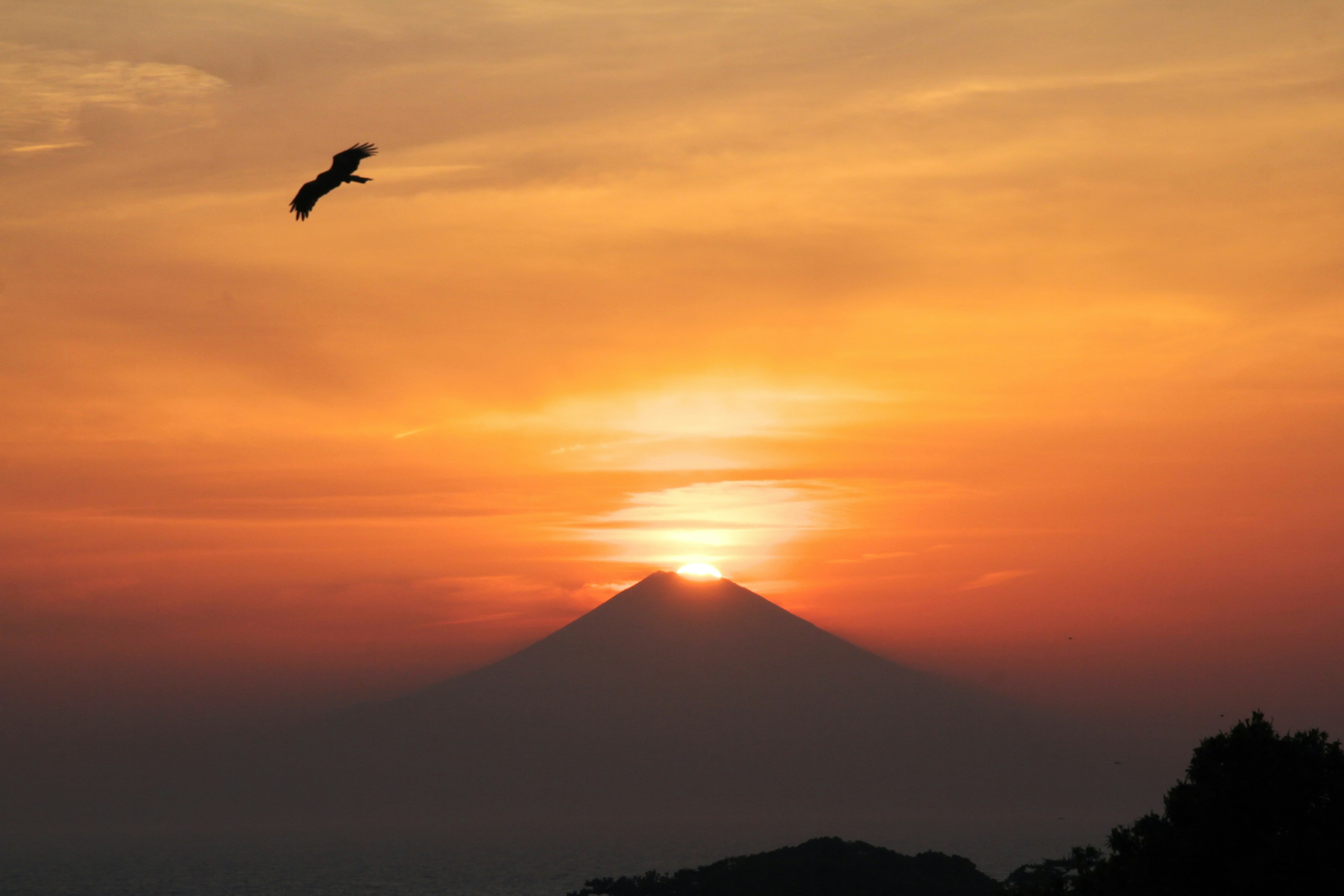 Un bellissimo tramonto dietro una montagna con un uccello che vola