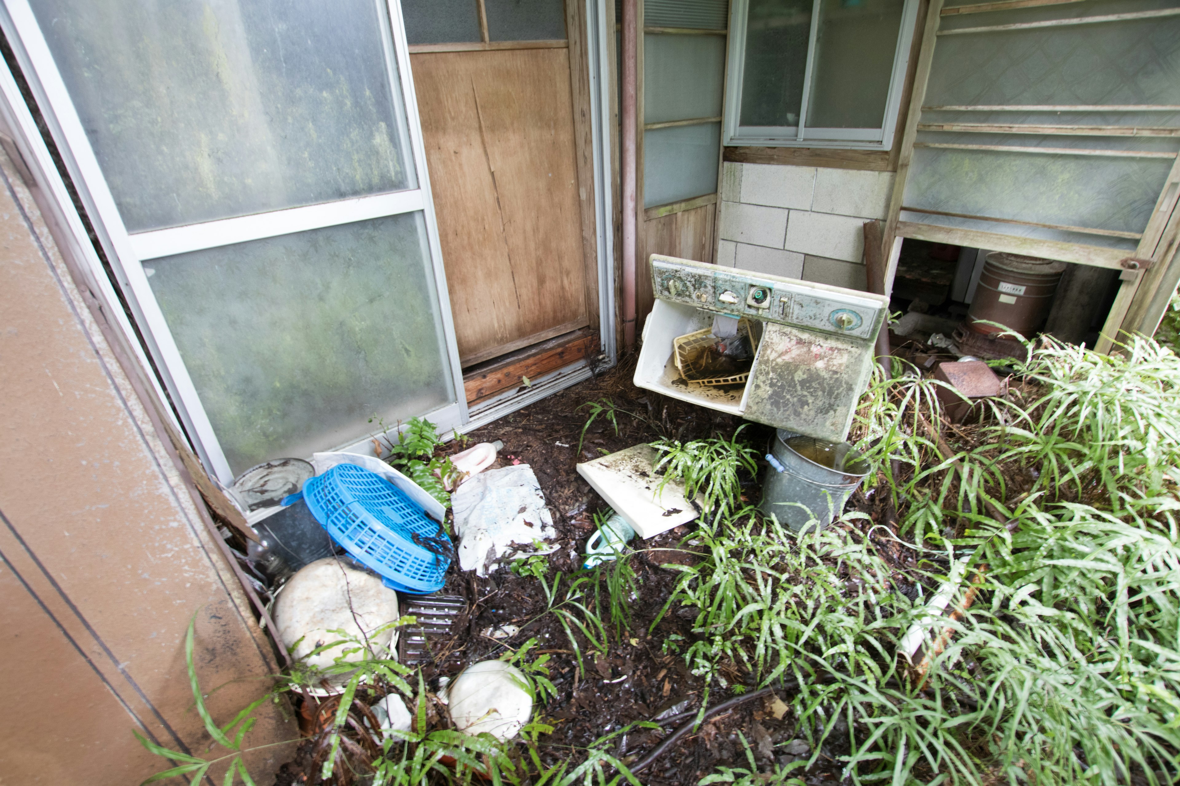 Exterior of a dilapidated house featuring old wooden and glass doors with scattered trash and plants