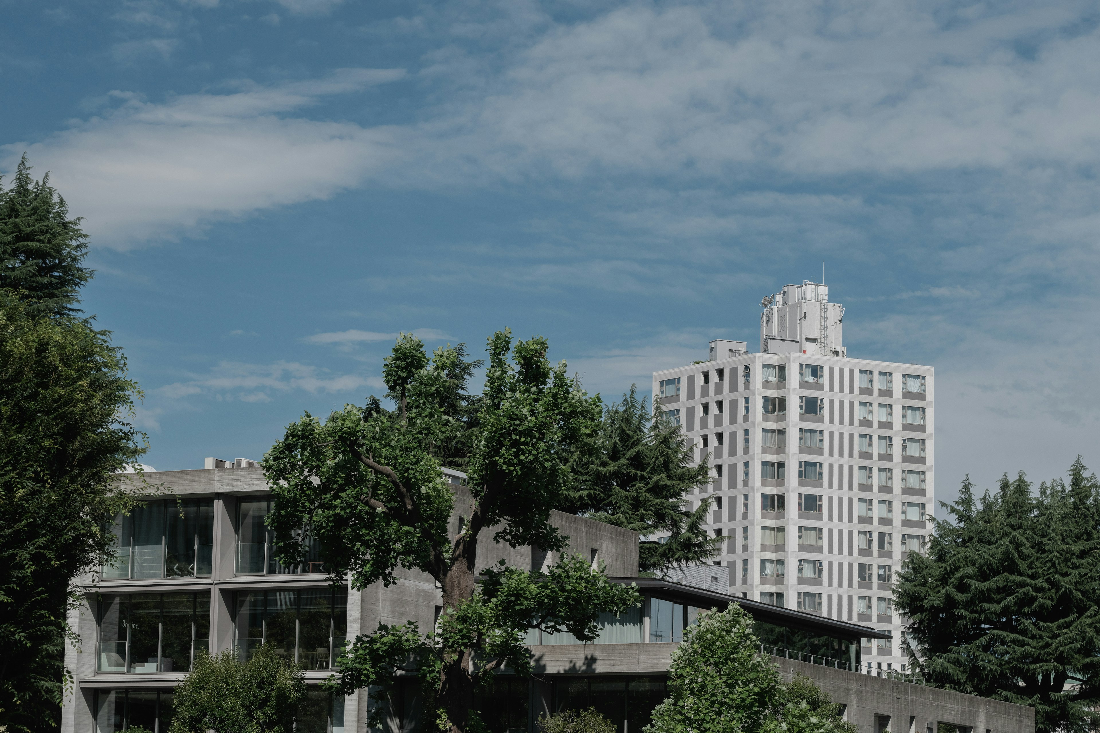 Paisaje con un edificio alto y árboles verdes exuberantes