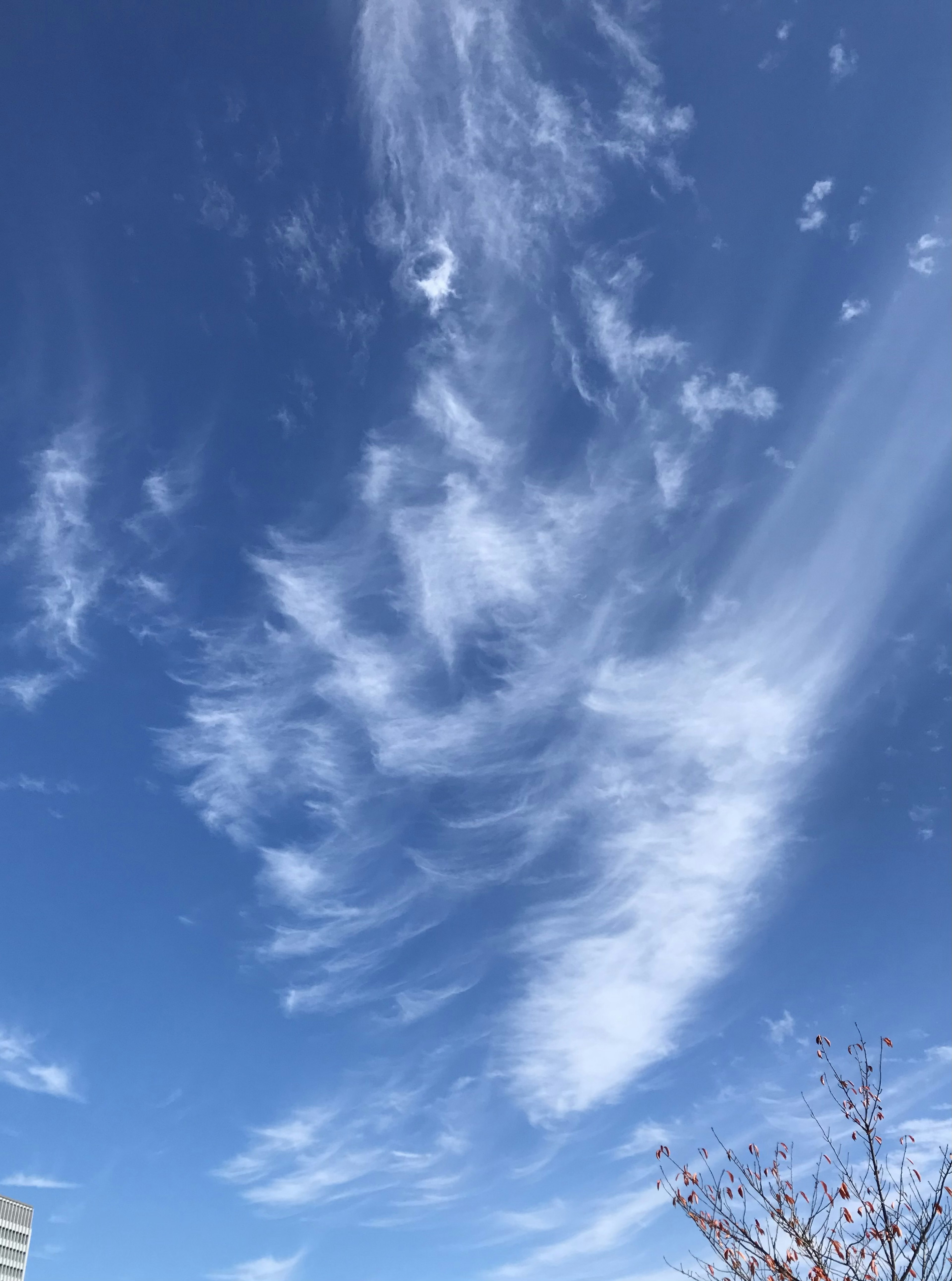 青空に流れる雲の美しいパターン