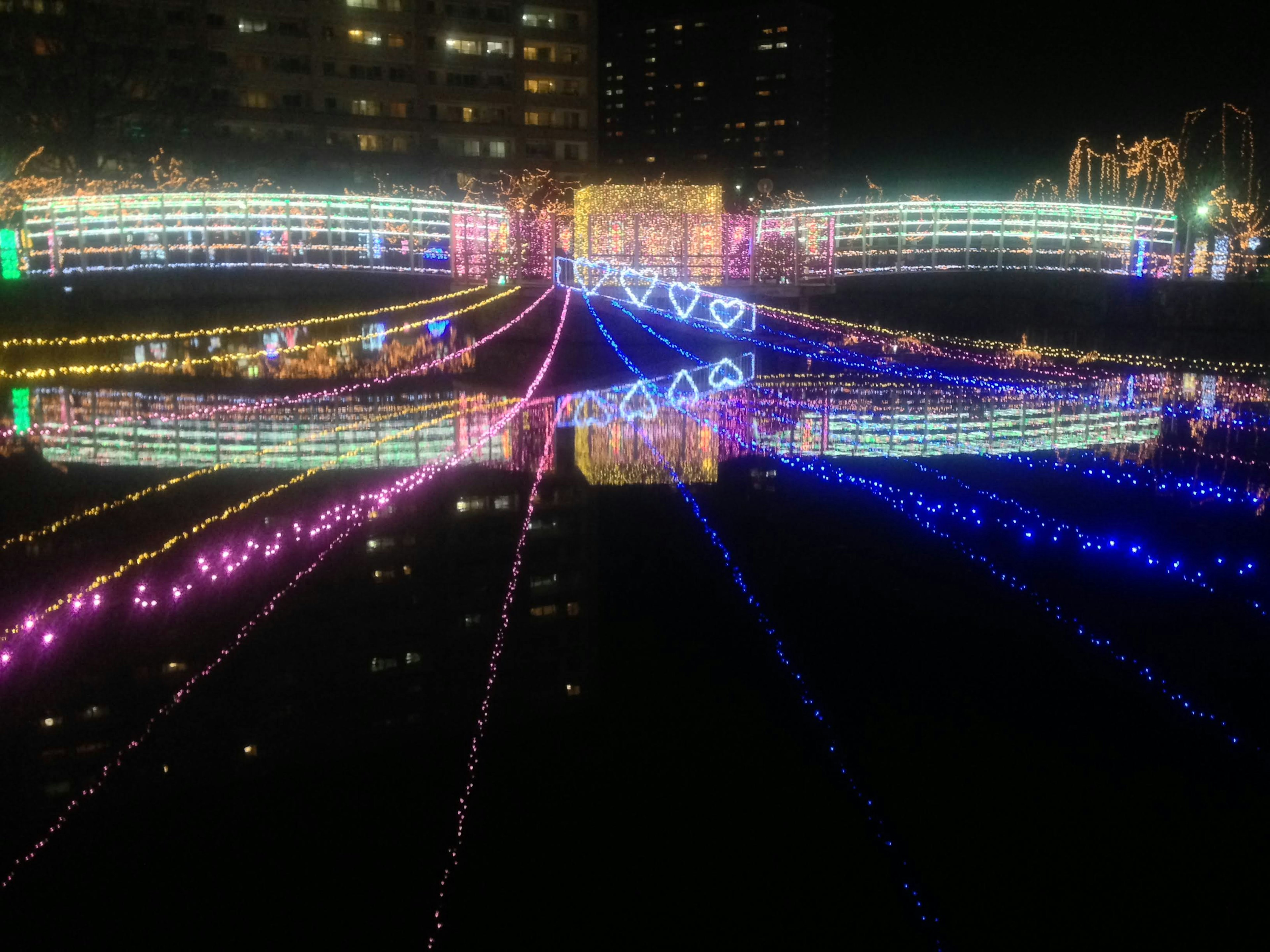 Vista notturna di un parco illuminato con luci colorate che si riflettono nell'acqua