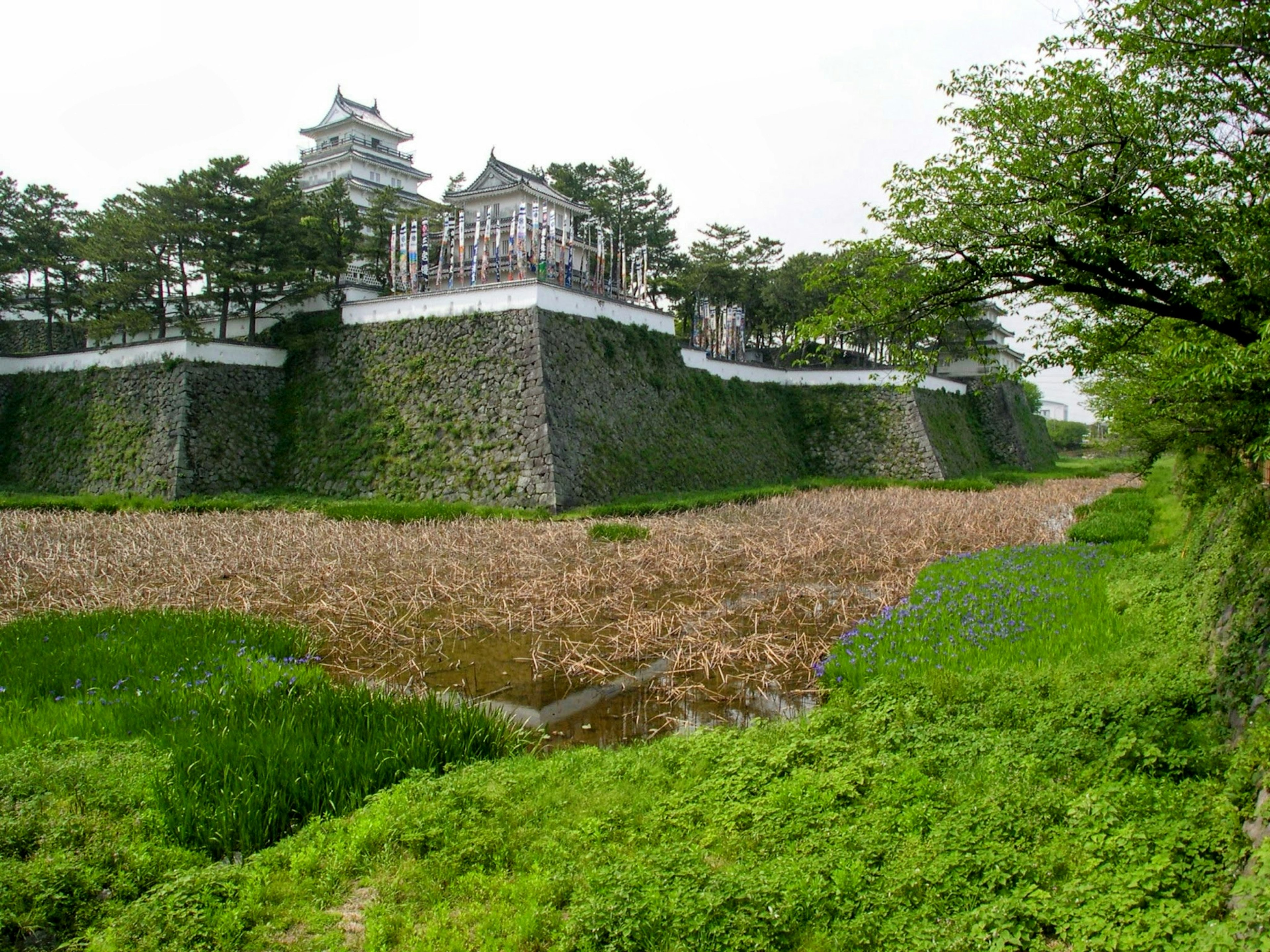 Castle surrounded by greenery with a water feature