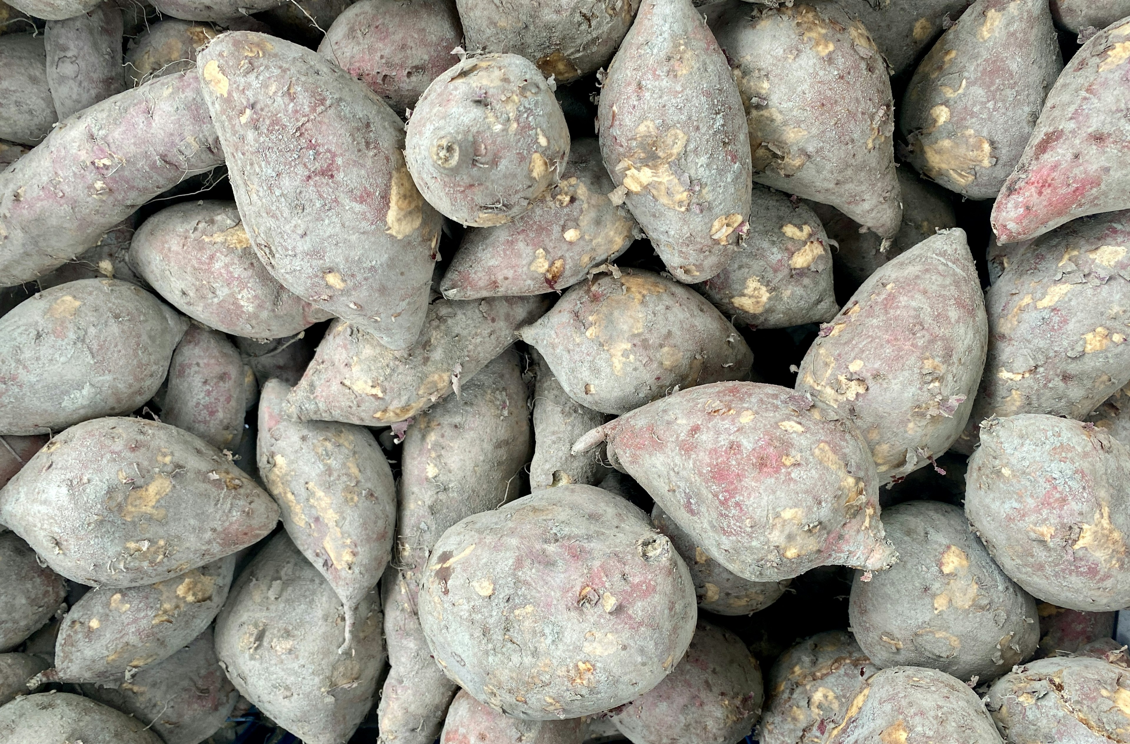 A pile of sweet potatoes with earthy textures and colors