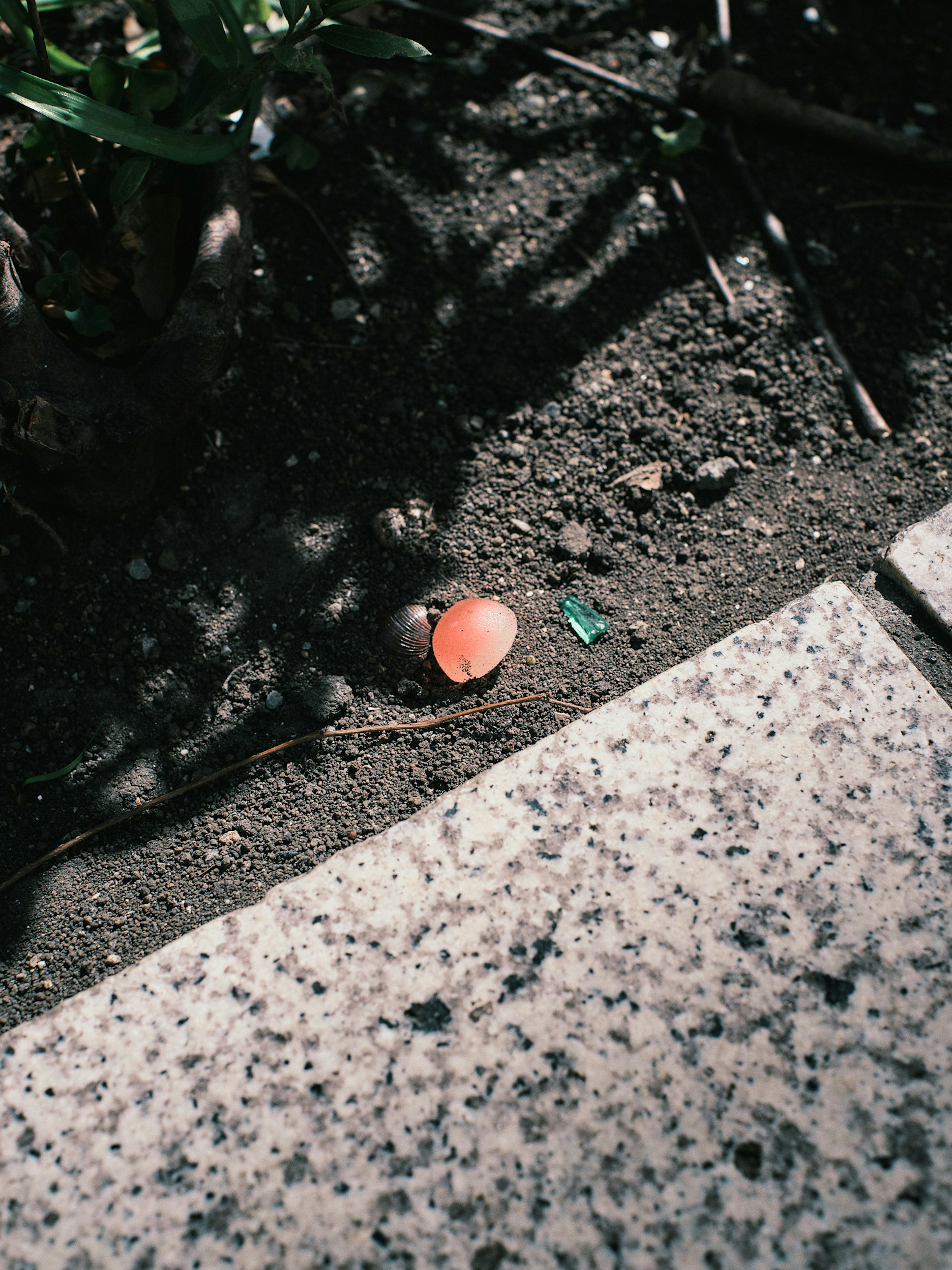 Small red object partially buried in dirt next to stone pavement