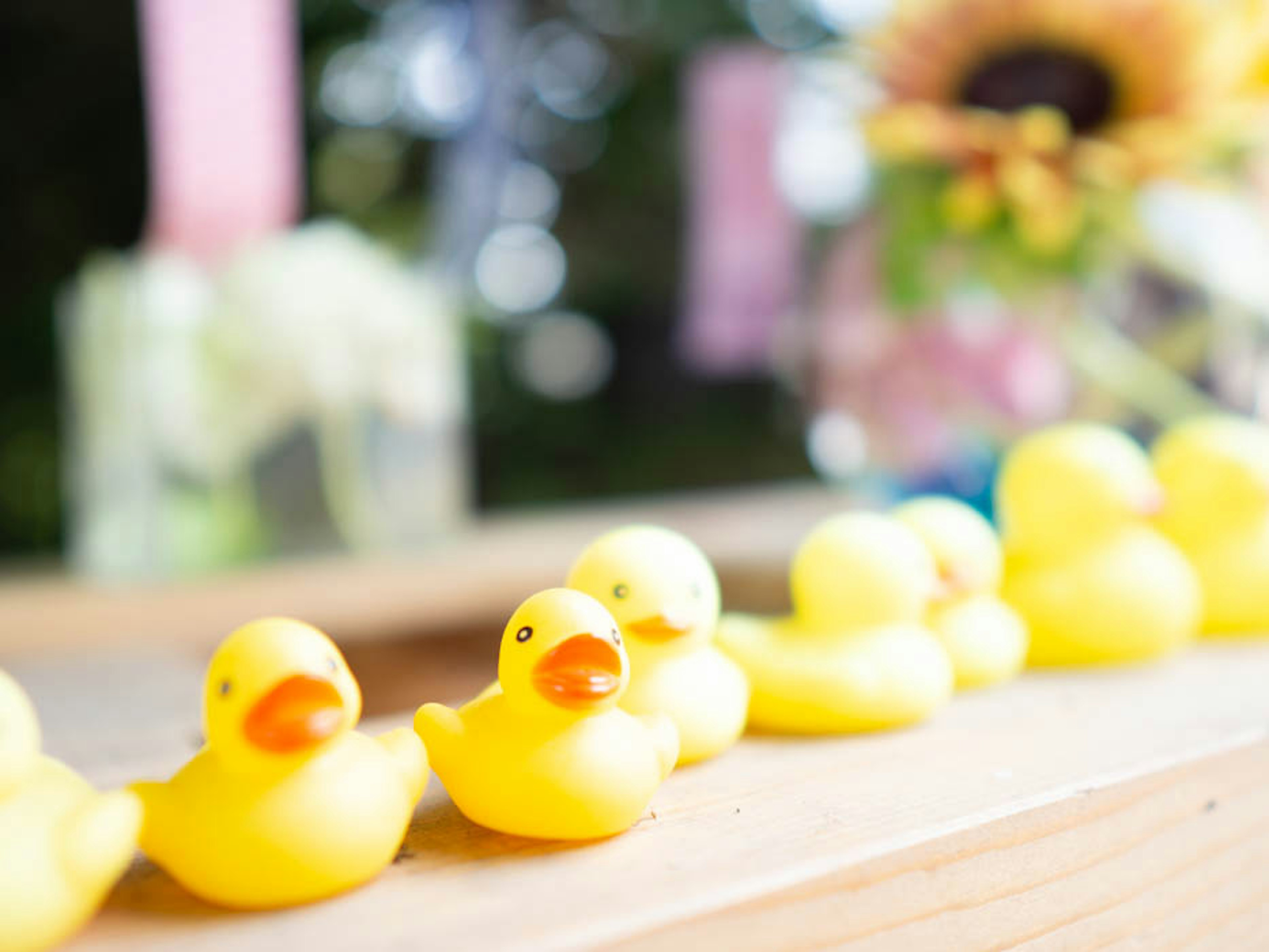 Fila de patitos de goma amarillos en una mesa de madera con fondo borroso