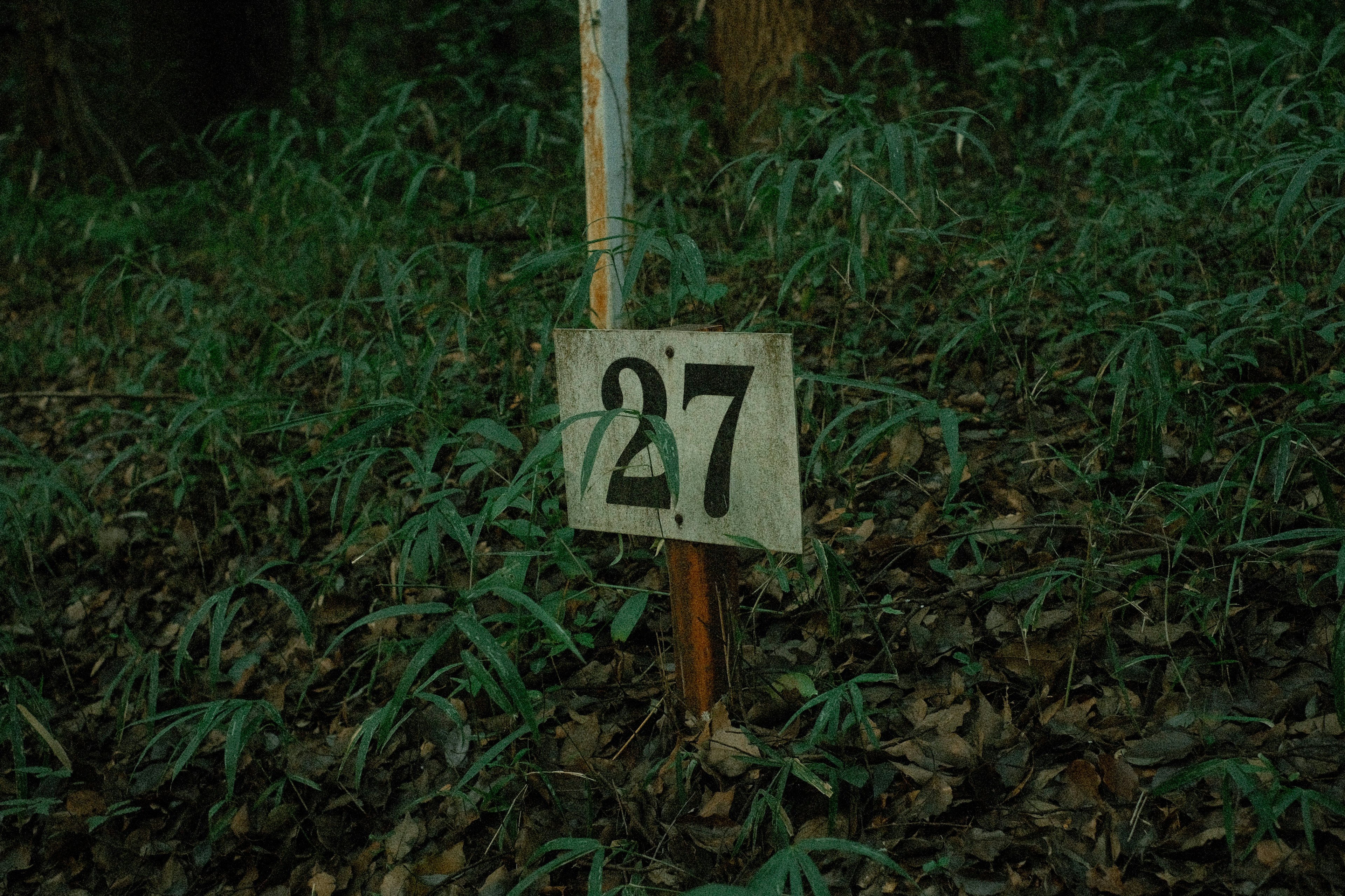 Wooden sign displaying the number 27 surrounded by green grass