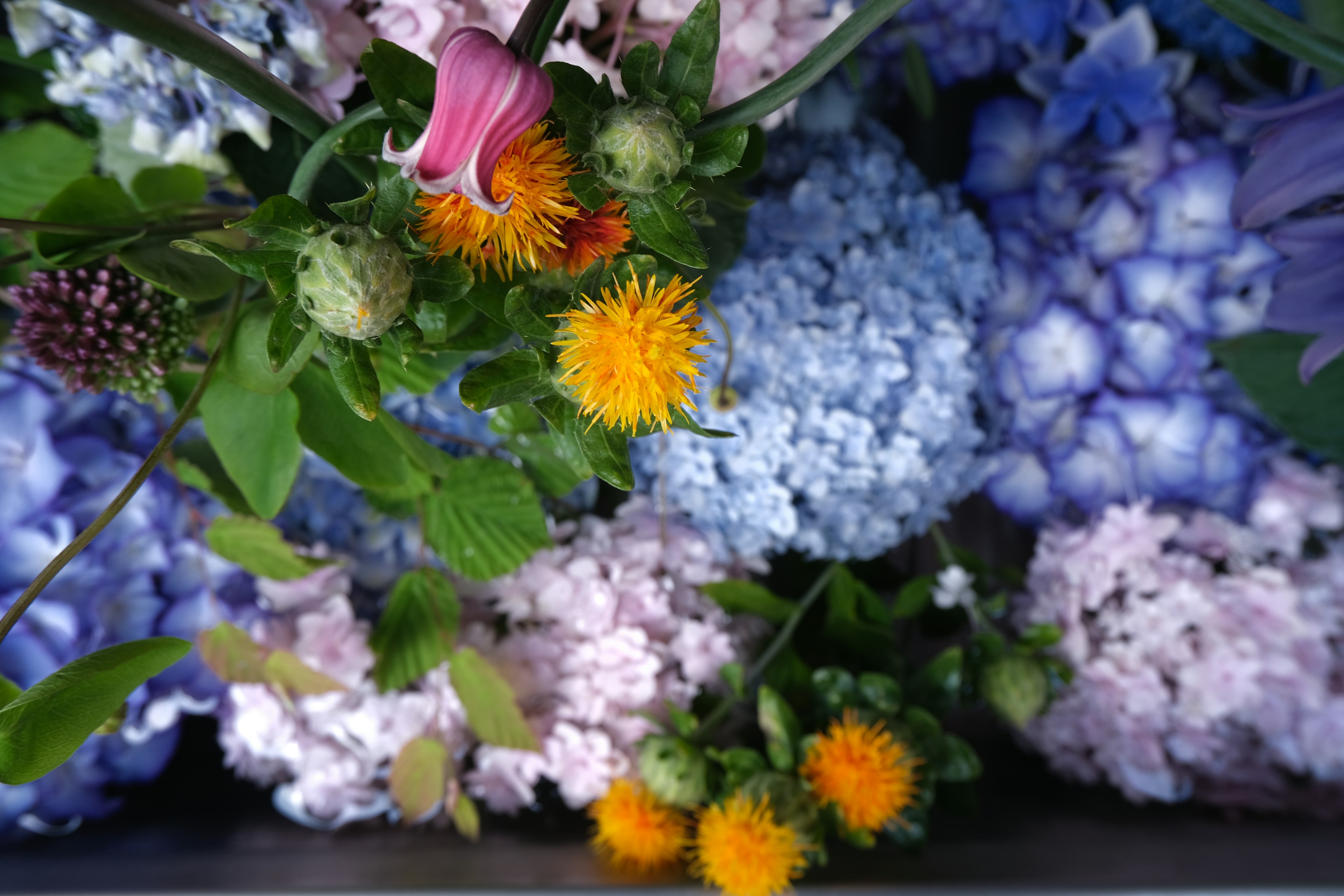 Schöne Anordnung von bunten Blumen einschließlich lila und gelben Blüten