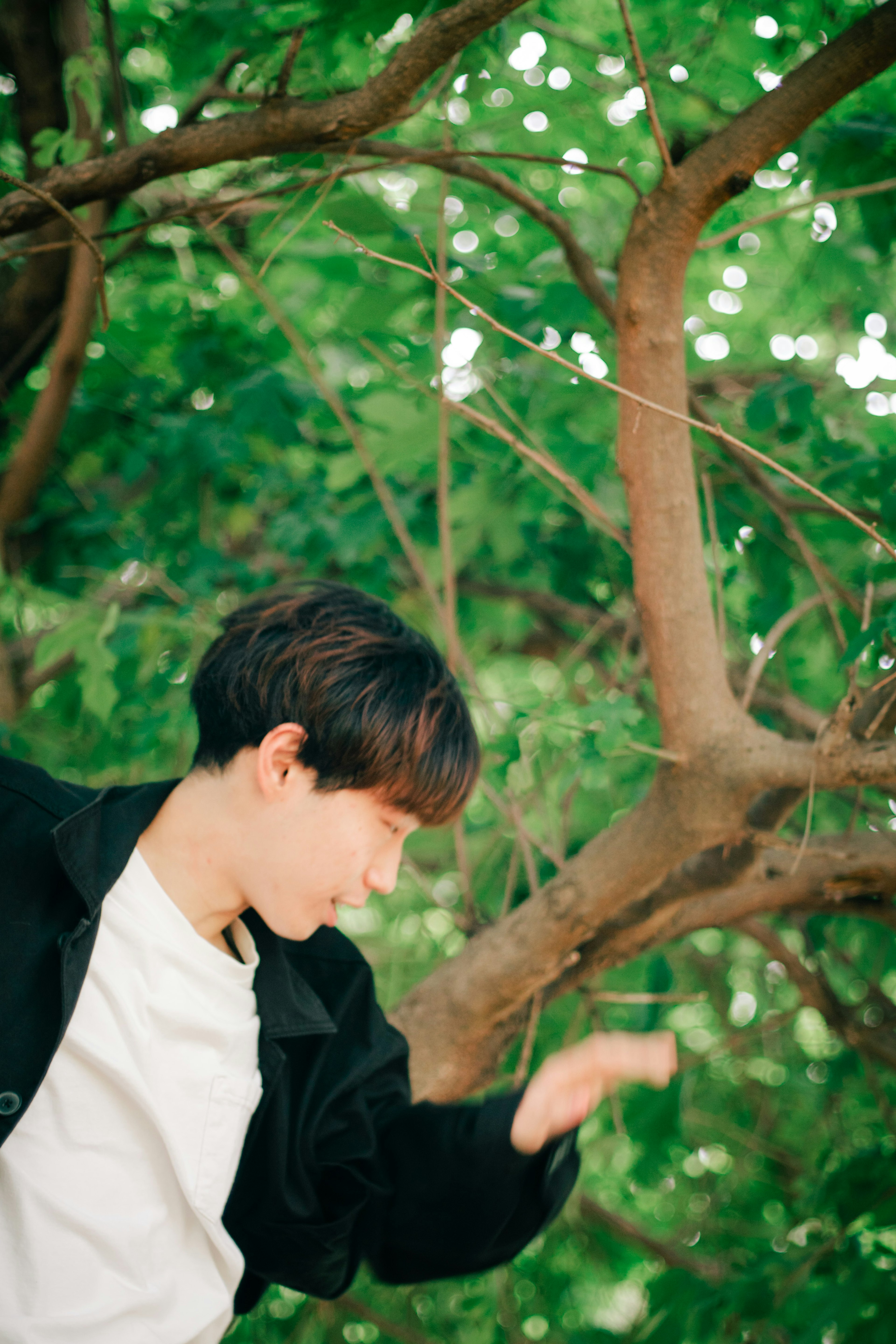 Young man playing near green tree branches