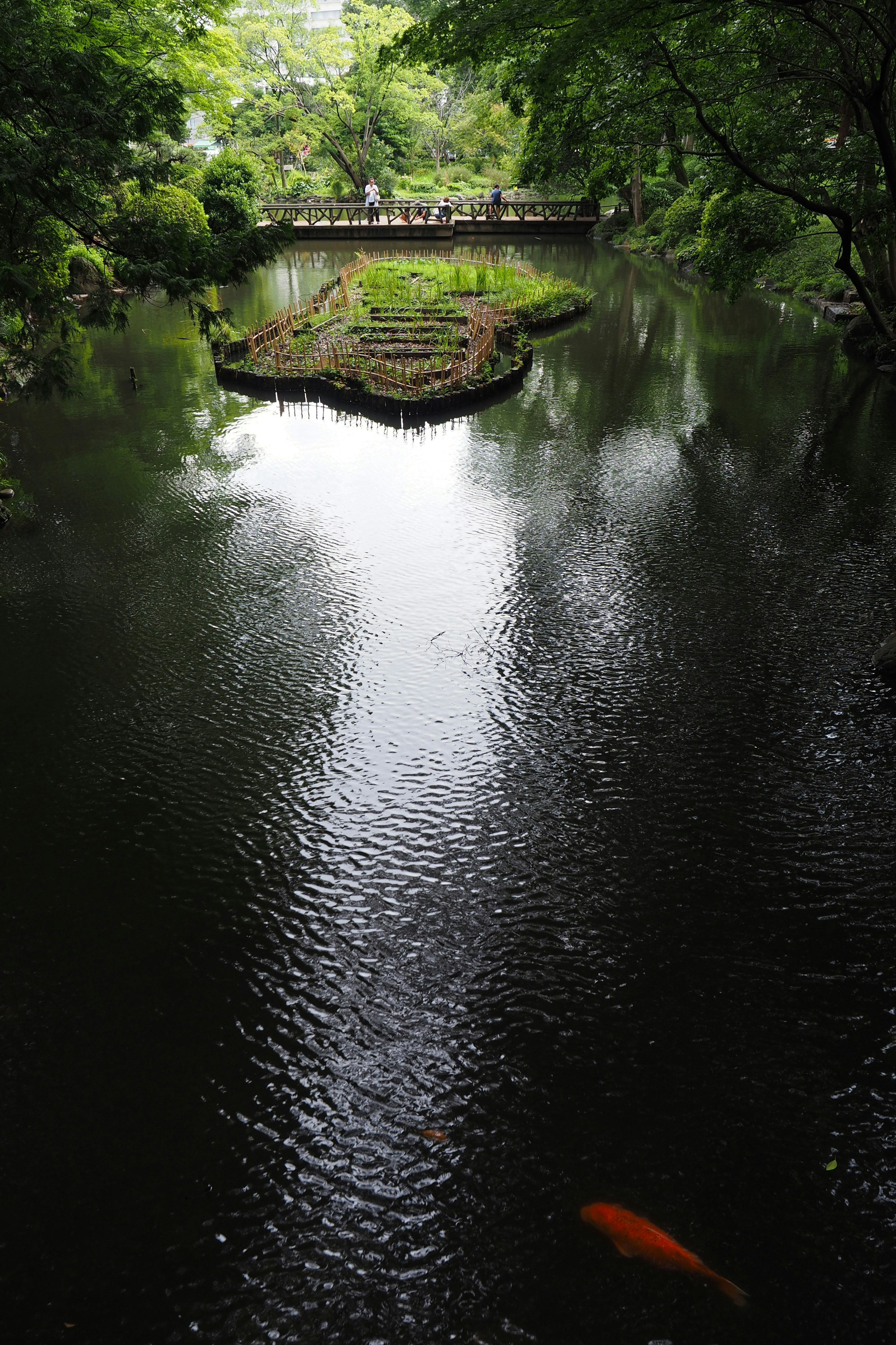 Ruhiger Teich mit einer kleinen Insel und üppigem Grün in der Umgebung