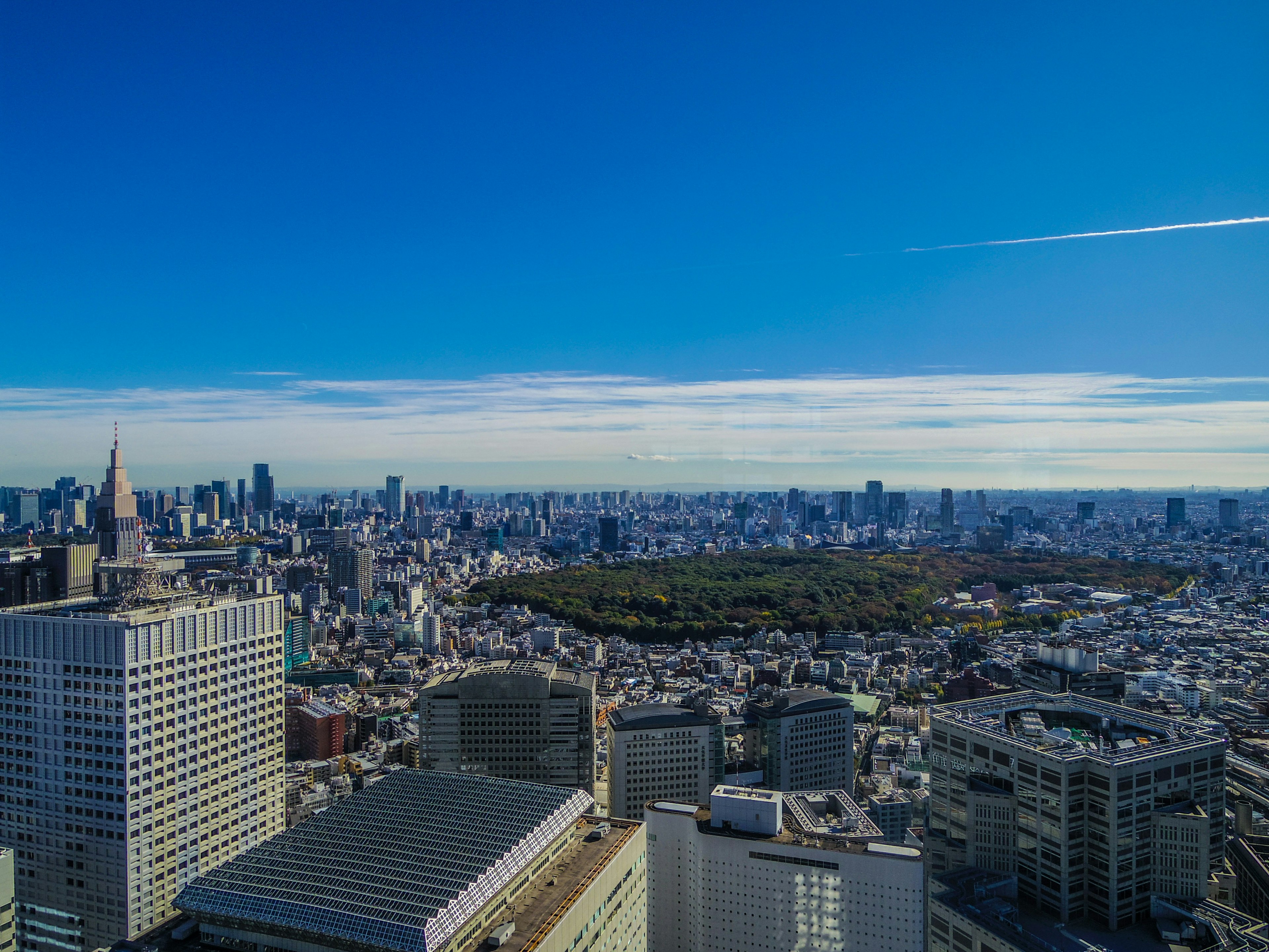 东京天际线的全景，中间有绿色公园