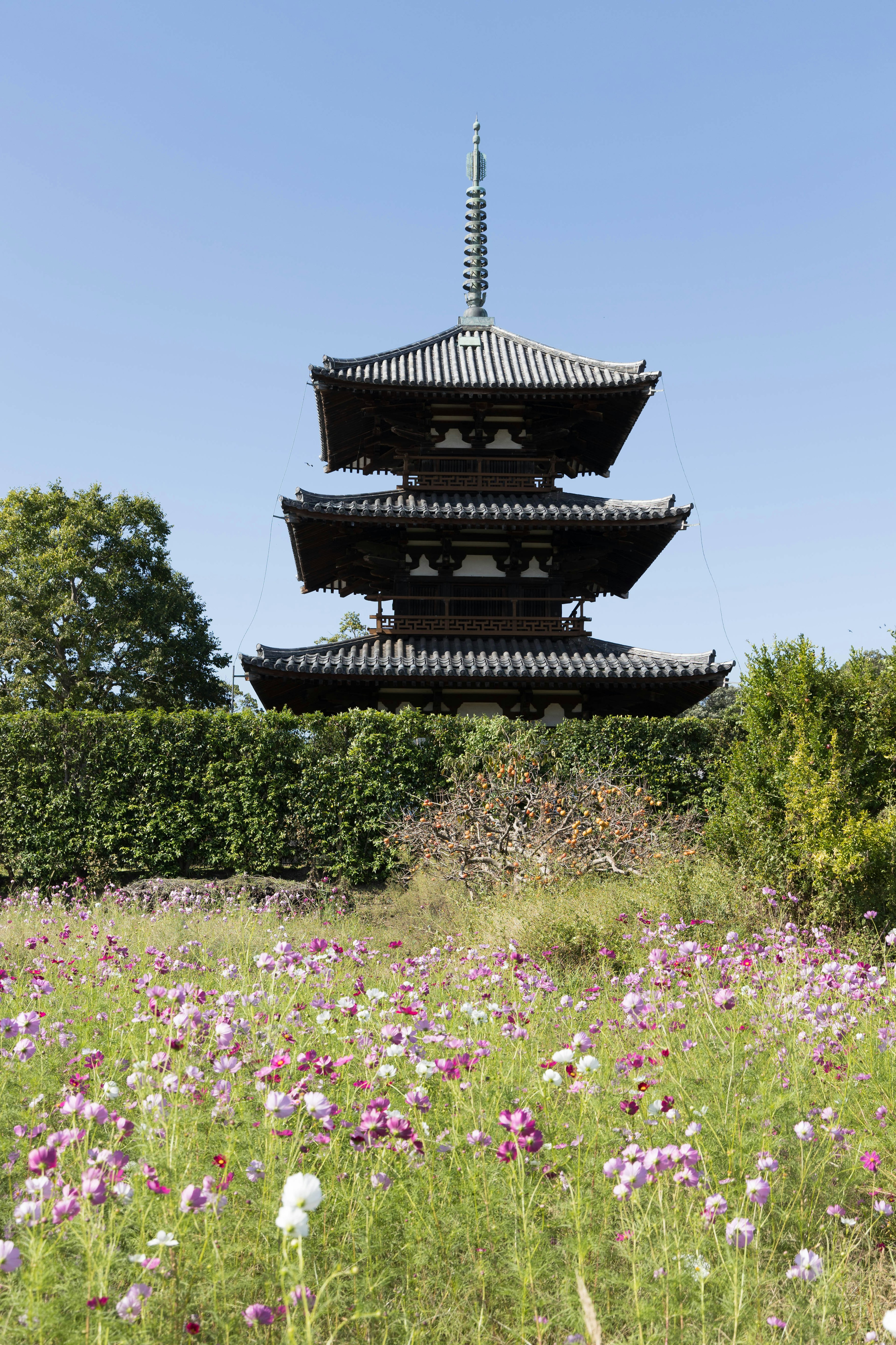 Vista panoramica di una pagoda circondata da fiori colorati