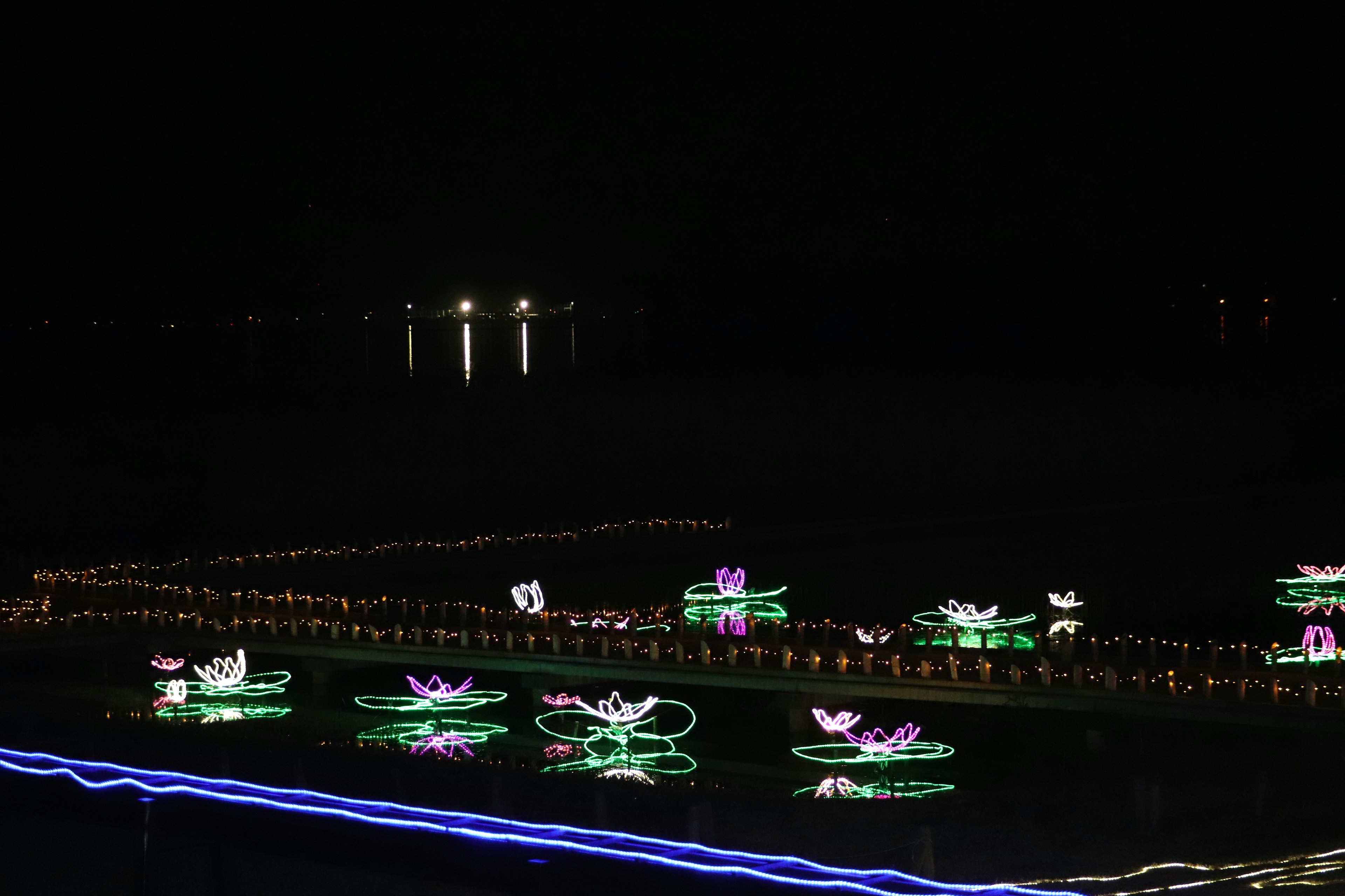 Nénuphars lumineux dans un étang la nuit avec des lumières environnantes